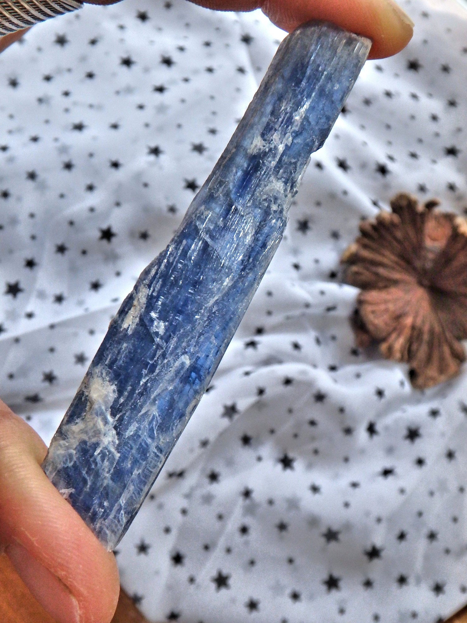  Blade of Gemmy Blue Kyanite From Brazil