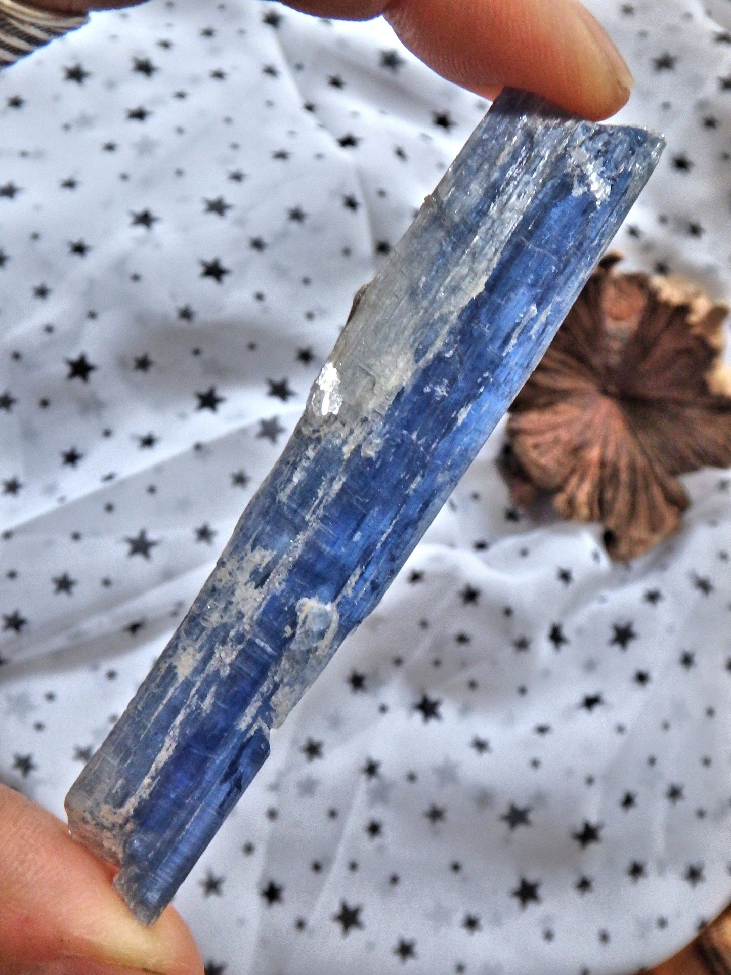  Blade of Gemmy Blue Kyanite From Brazil