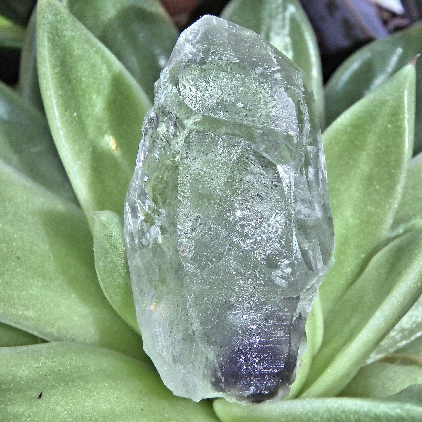 Icey Arkansas Blue Phantom Quartz Point 2