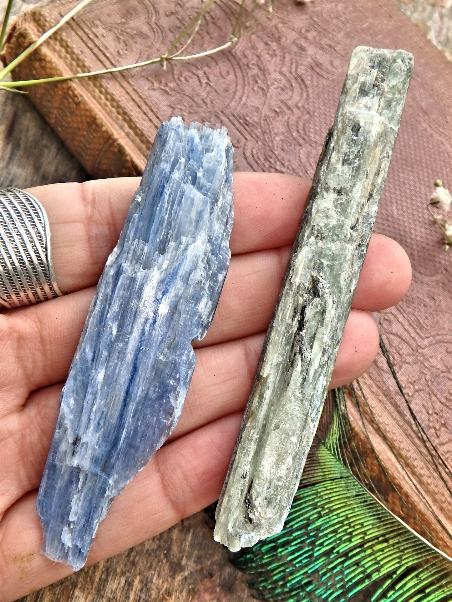 Set of 2 Blue & Green Kyanite Raw & Natural Healing Points - Metiz Tier Price