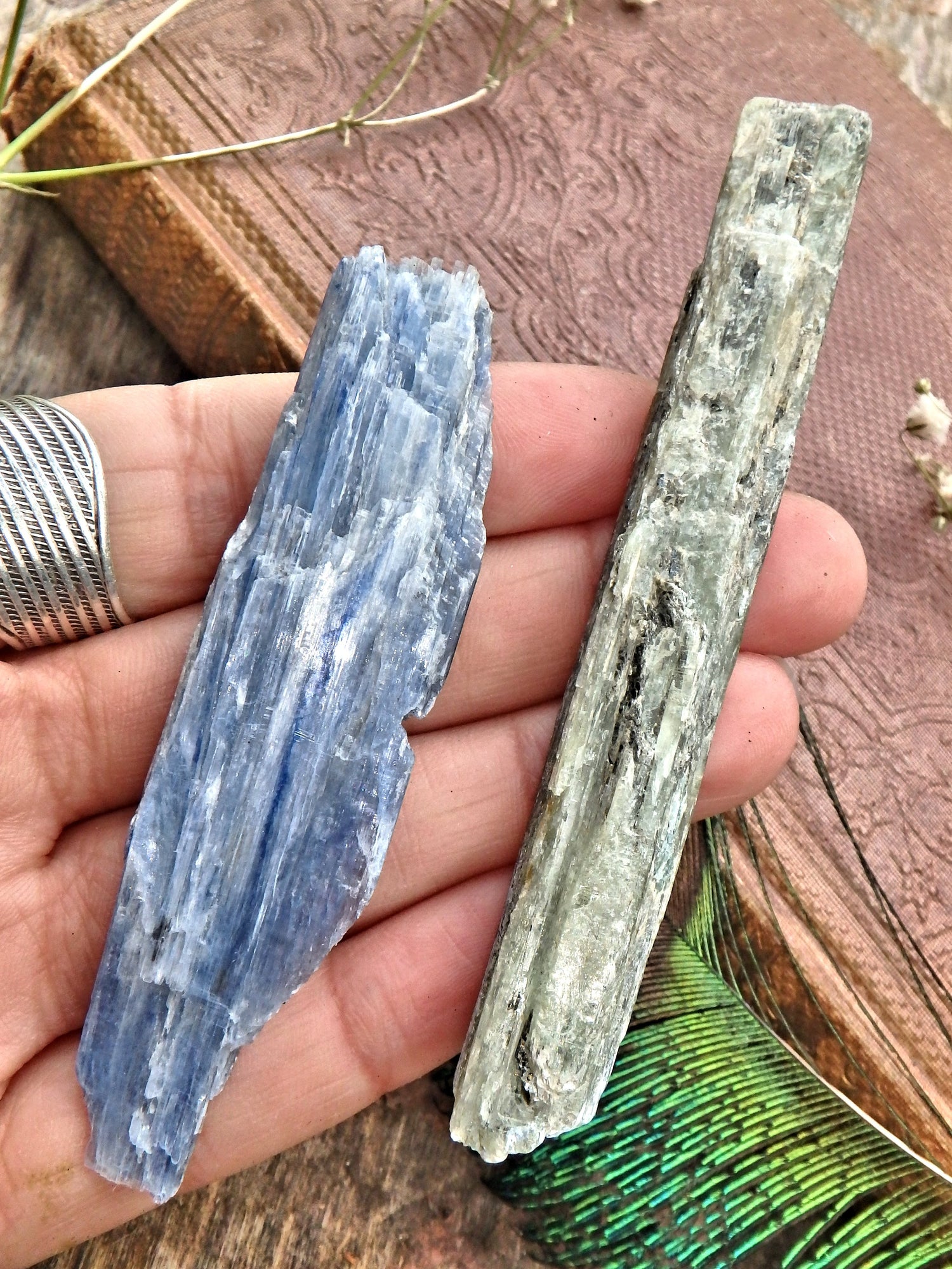 Set of 2 Blue & Green Kyanite Raw & Natural Healing Points - Metiz Tier Price