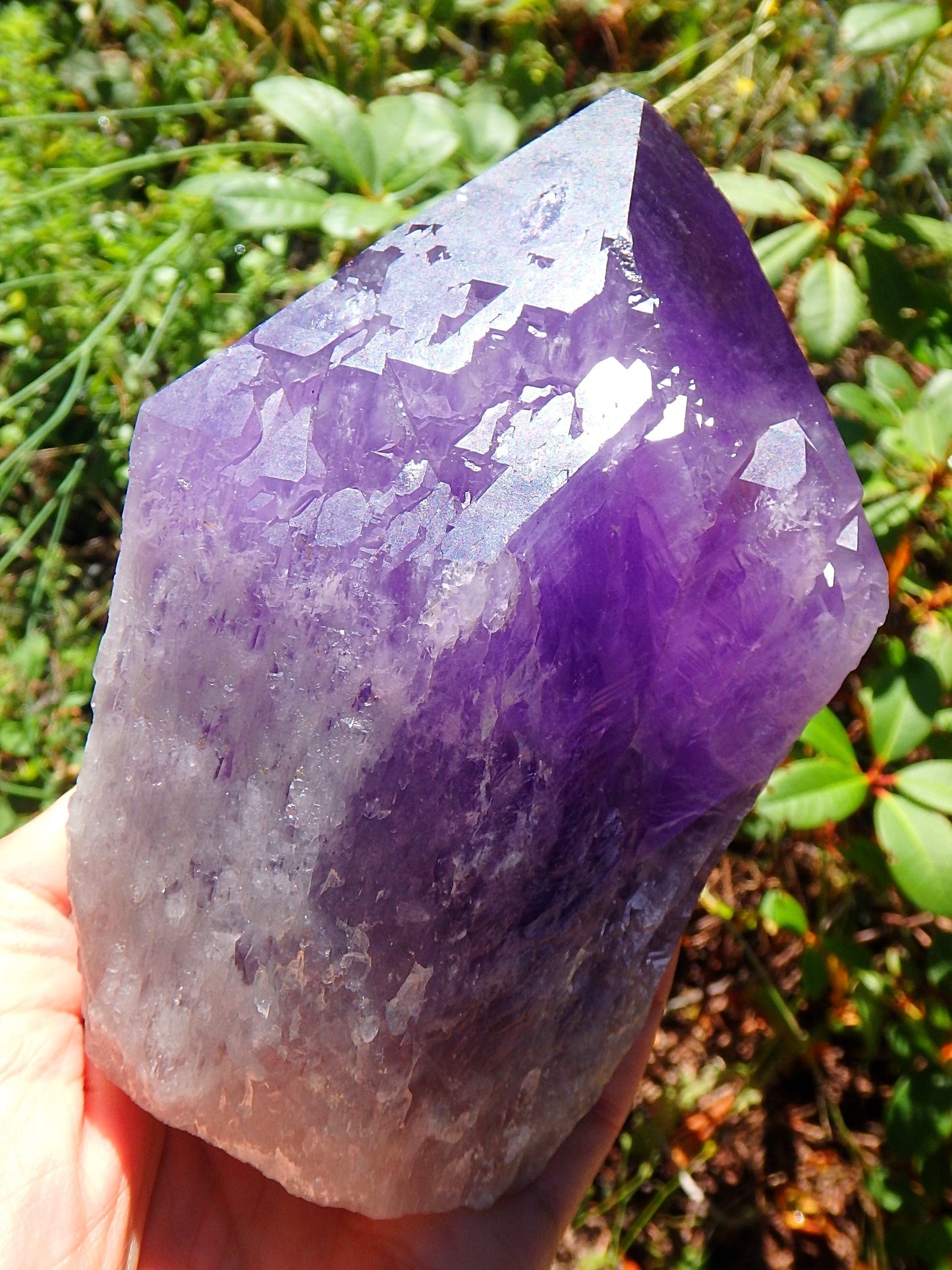 Incredible Large Bolivian Ametrine Elestial Unpolished Self Standing Specimen With Record Keepers 1 - Earth Family Crystals