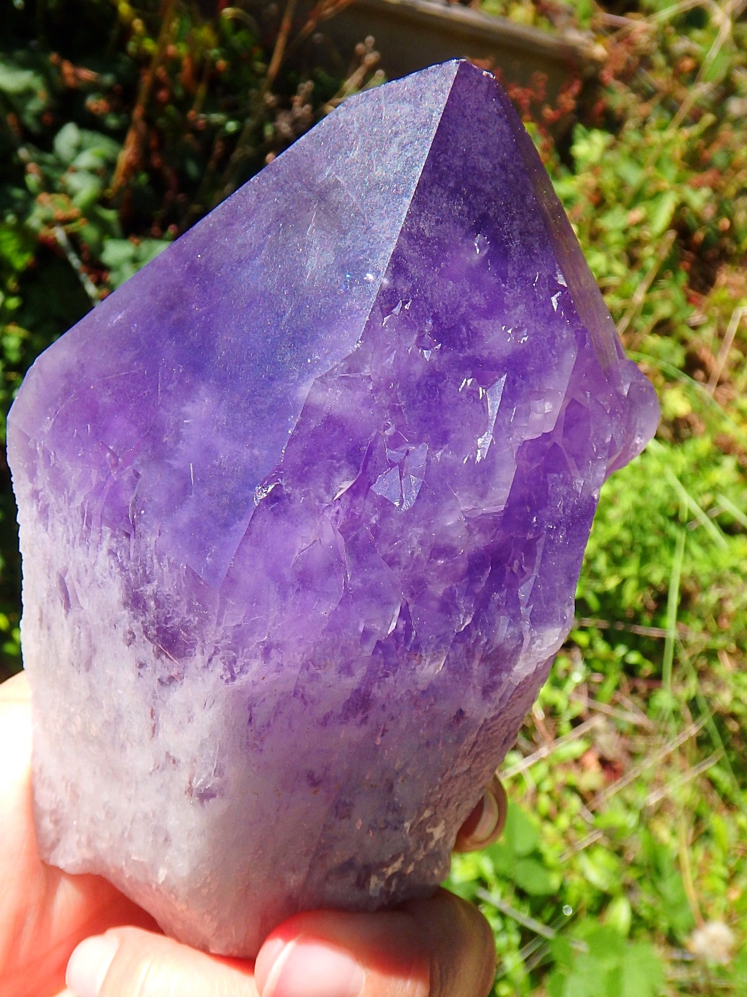Incredible Large Bolivian Ametrine Elestial Unpolished Self Standing Specimen With Record Keepers 1 - Earth Family Crystals