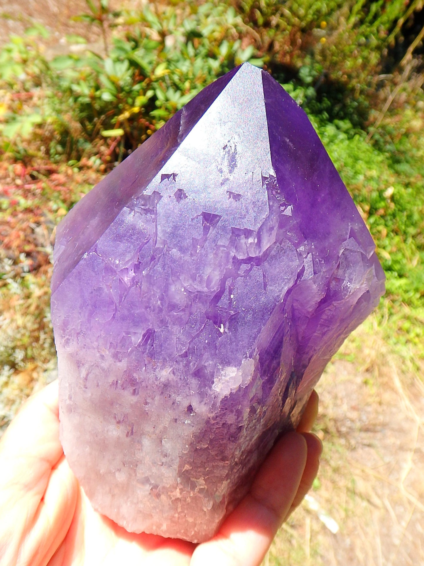 Incredible Large Bolivian Ametrine Elestial Unpolished Self Standing Specimen With Record Keepers 1 - Earth Family Crystals