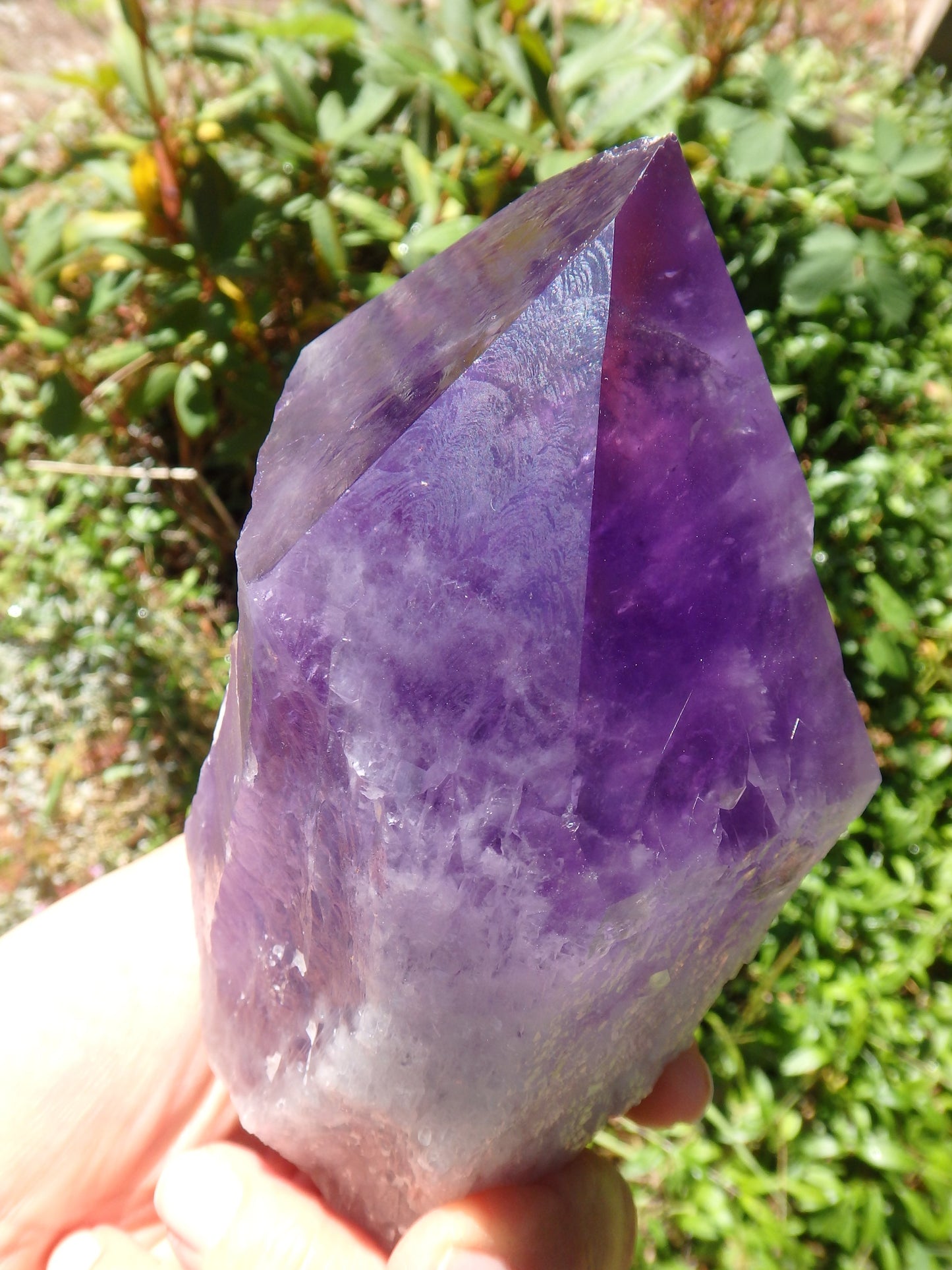 Incredible Large Bolivian Ametrine Elestial Unpolished Self Standing Specimen With Record Keepers 1 - Earth Family Crystals