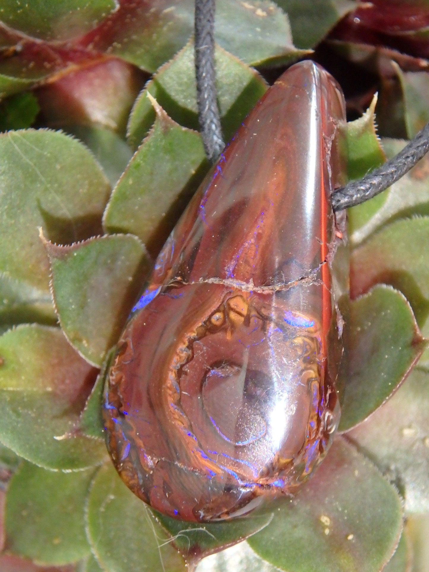  Australian Boulder Opal Teardrop on Adjustable Cotton Cord