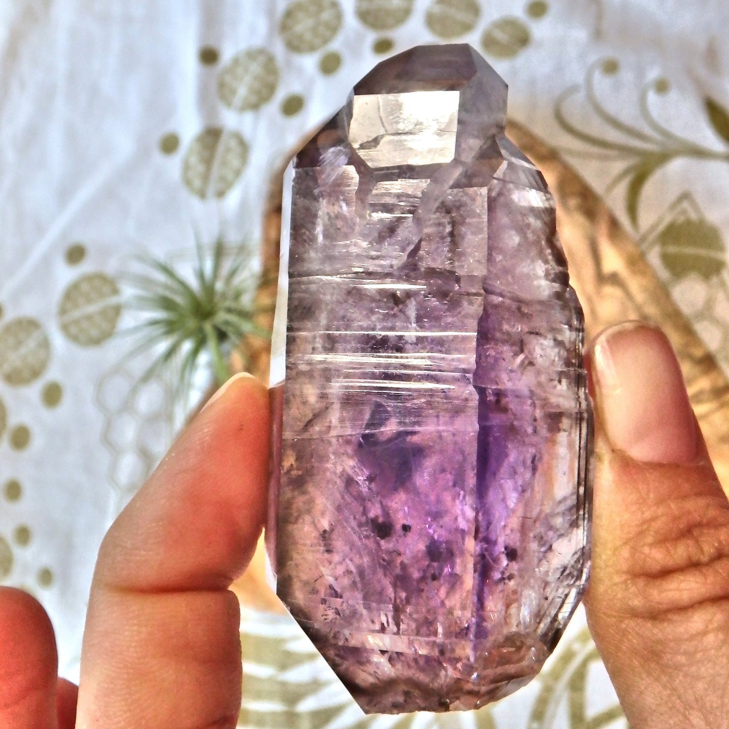 Lush Purple Moving Water Bubble Sceptre DT Brandberg Amethyst Point From Namibia - Earth Family Crystals