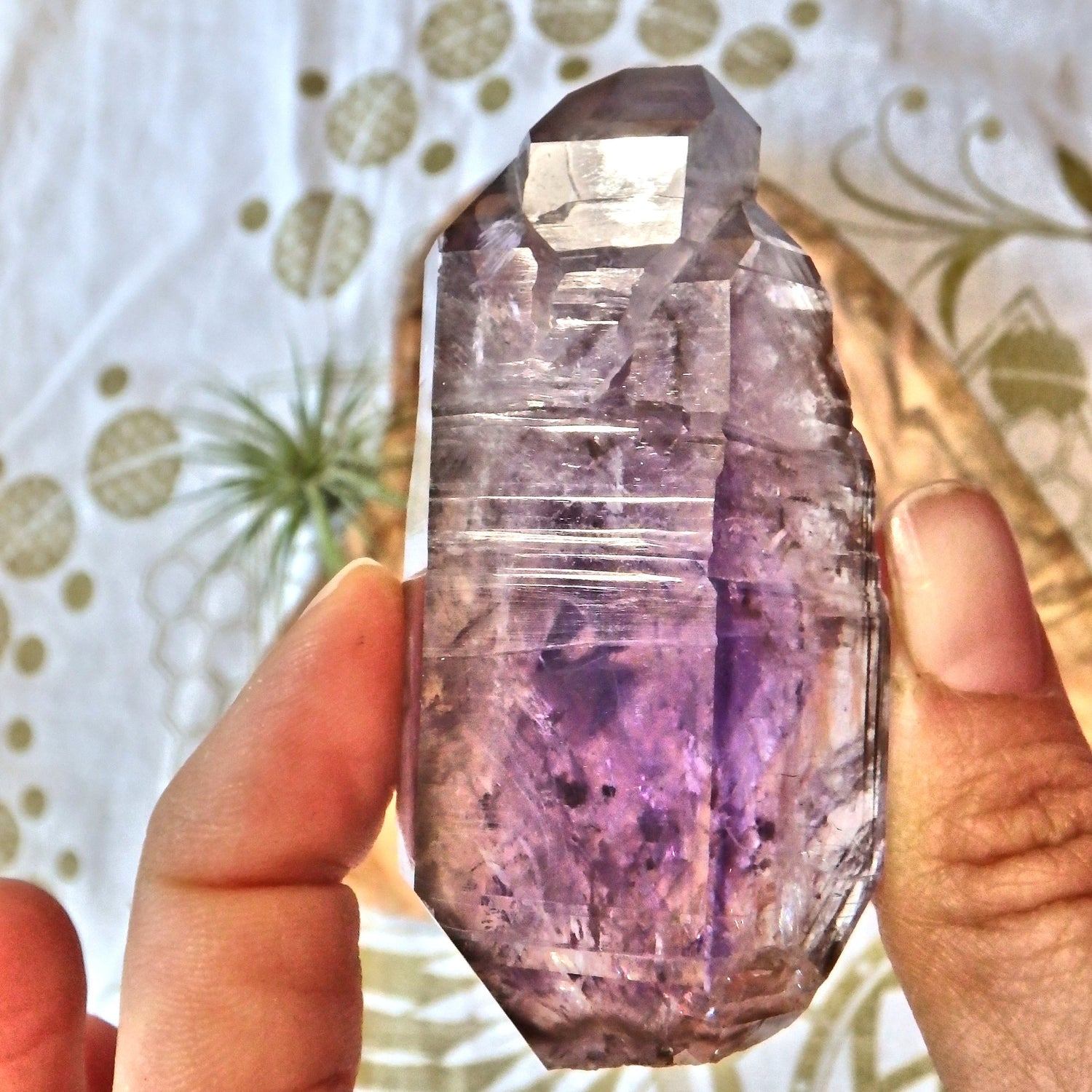 Lush Purple Moving Water Bubble Sceptre DT Brandberg Amethyst Point From Namibia - Earth Family Crystals