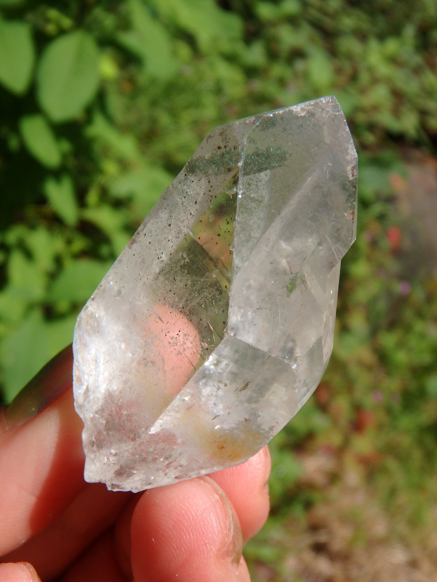 Green Chlorite Natural Brazilian Quartz Point 3 - Earth Family Crystals