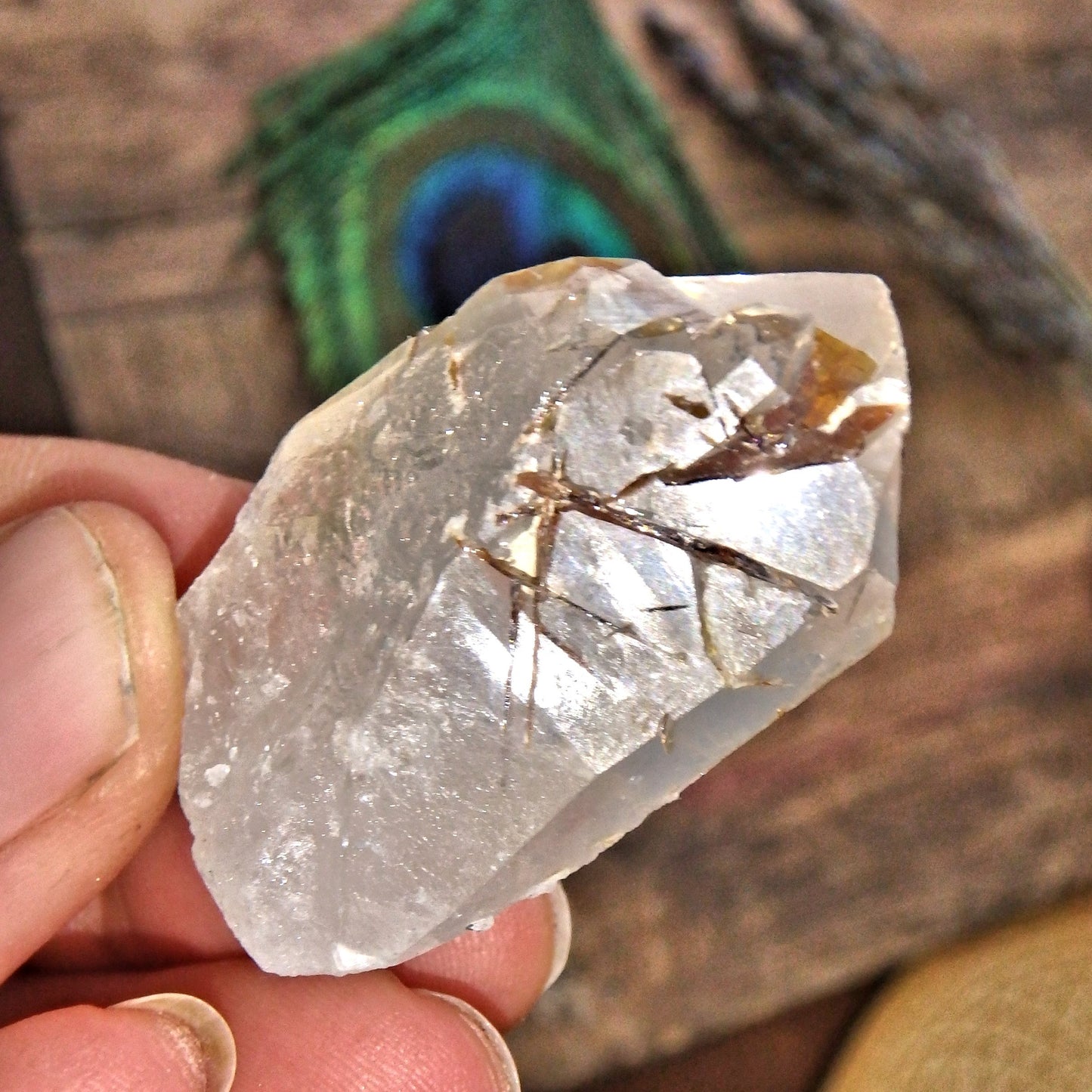  Golden Brookite Blades Nestled in Brazilian Quartz Point 2 Default Title - Earth Family Crystals