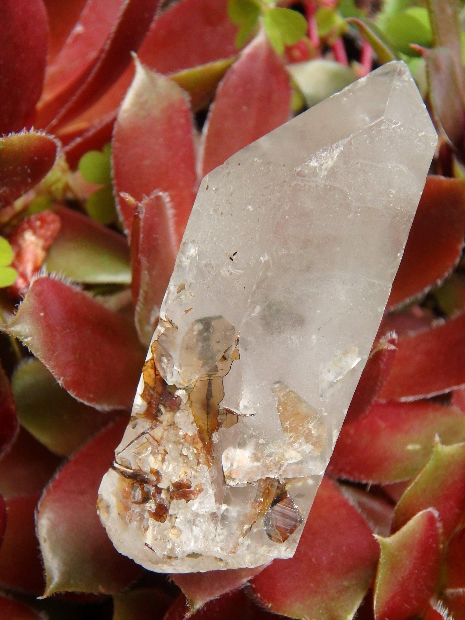  Brazilian Golden Brookite Quartz Point 1