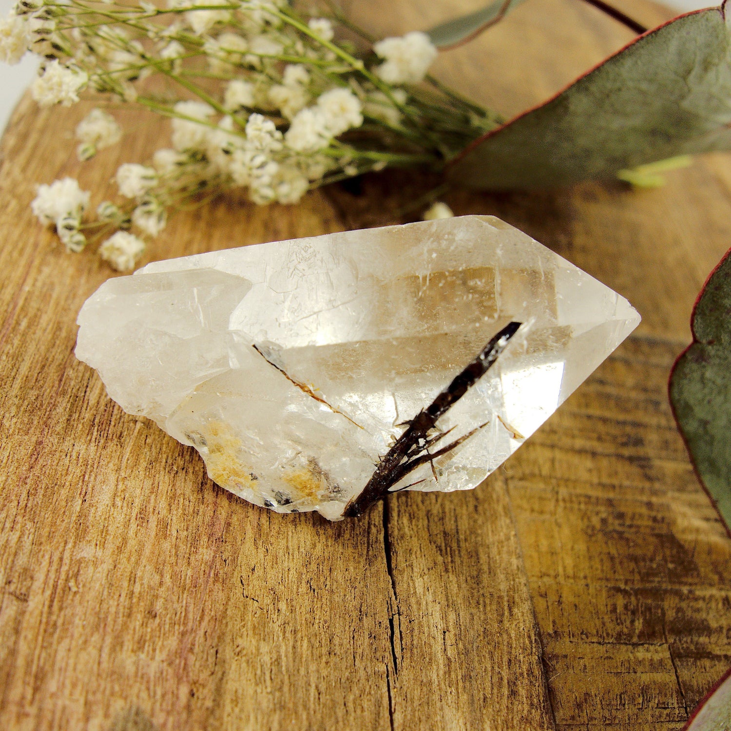  Cute Golden Brookite Blades Nestled in Brazilian Quartz Point #2
