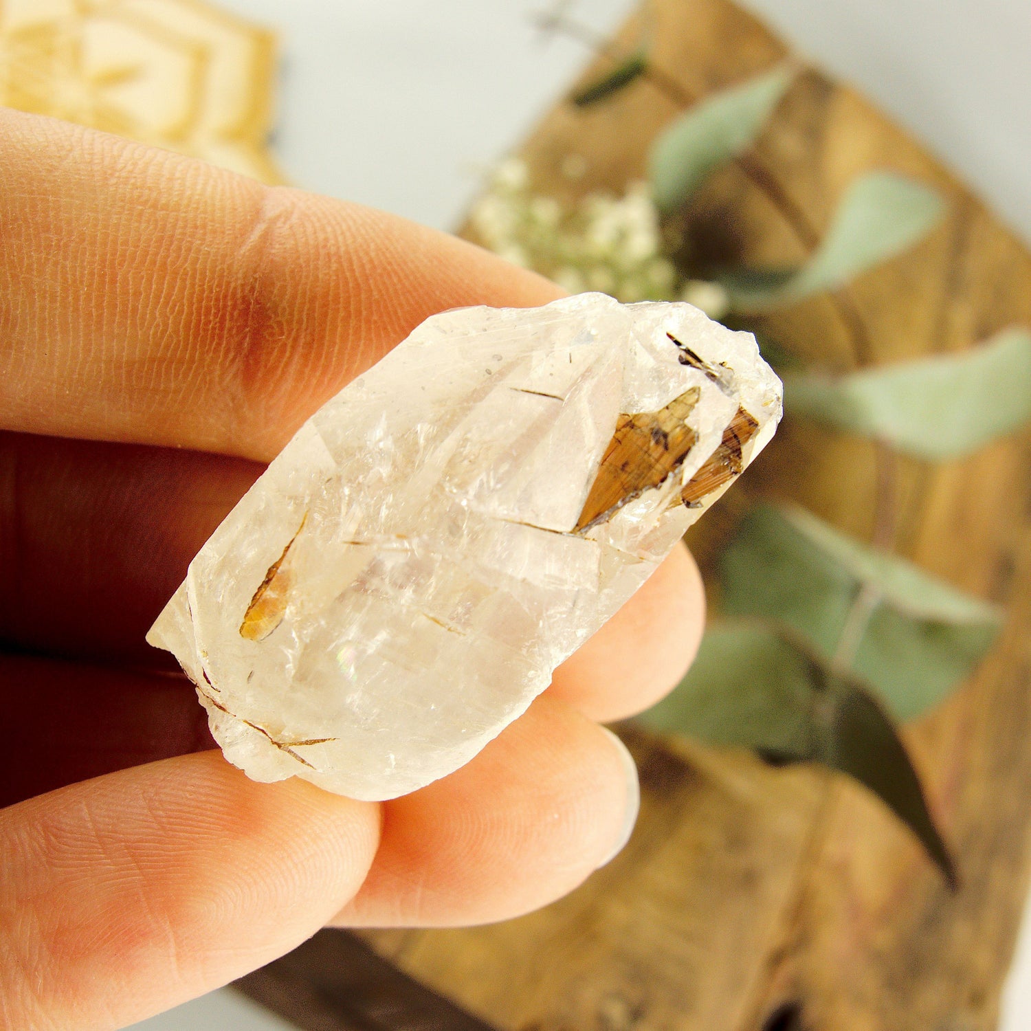  Cute Golden Brookite Blades Nestled in Brazilian Quartz Point #3