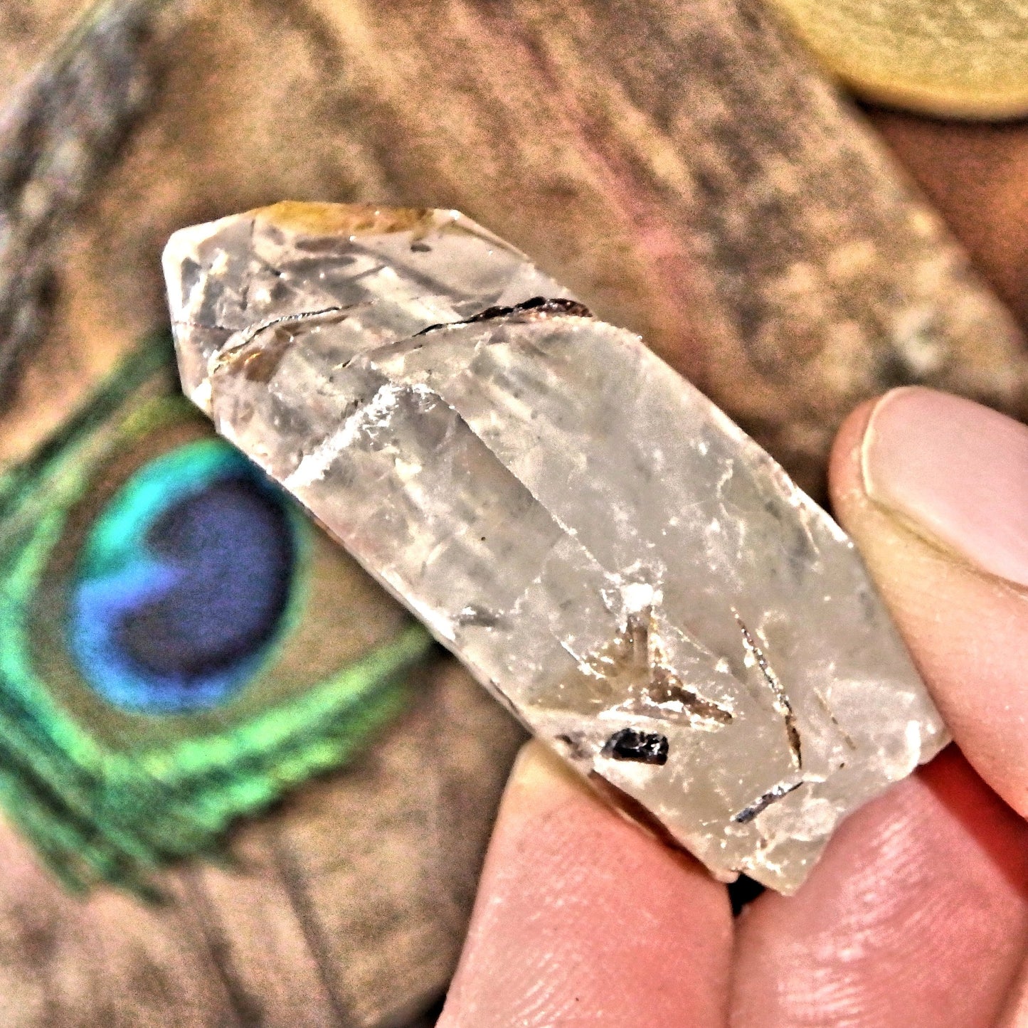  Golden Brookite Blades Nestled in Brazilian Quartz Point 1 Default Title - Earth Family Crystals