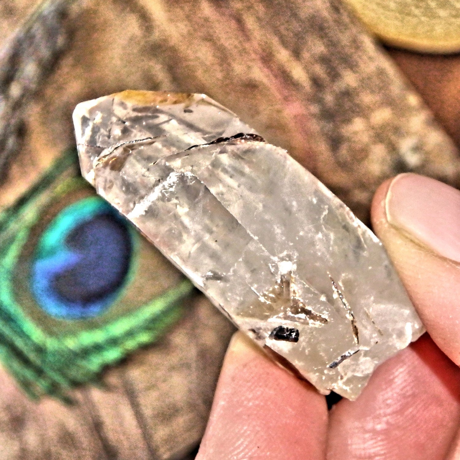  Golden Brookite Blades Nestled in Brazilian Quartz Point 1 Default Title - Earth Family Crystals