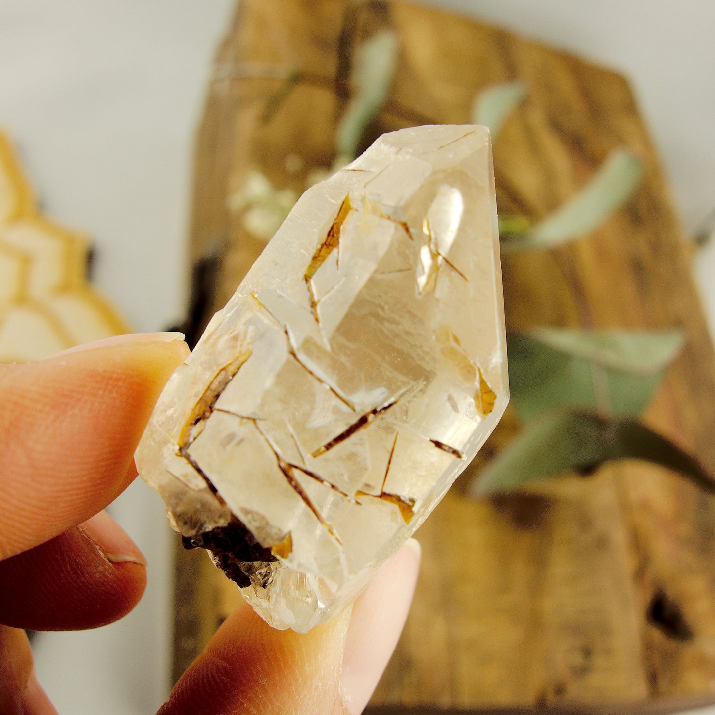  Cute Golden Brookite Blades Nestled in Brazilian Quartz Point #1