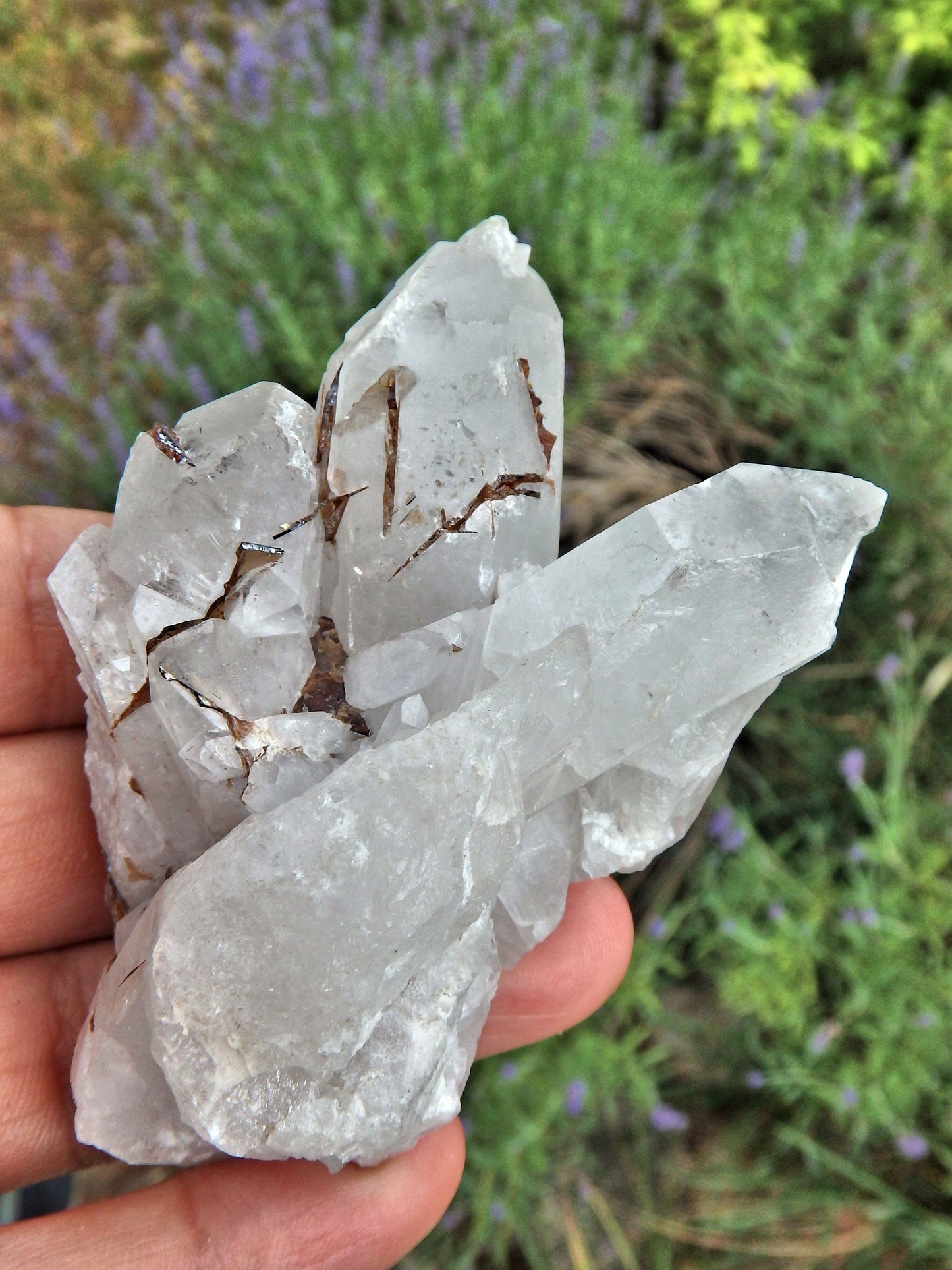  Brazilian Quartz & Golden Brookite Cluster Specimen1