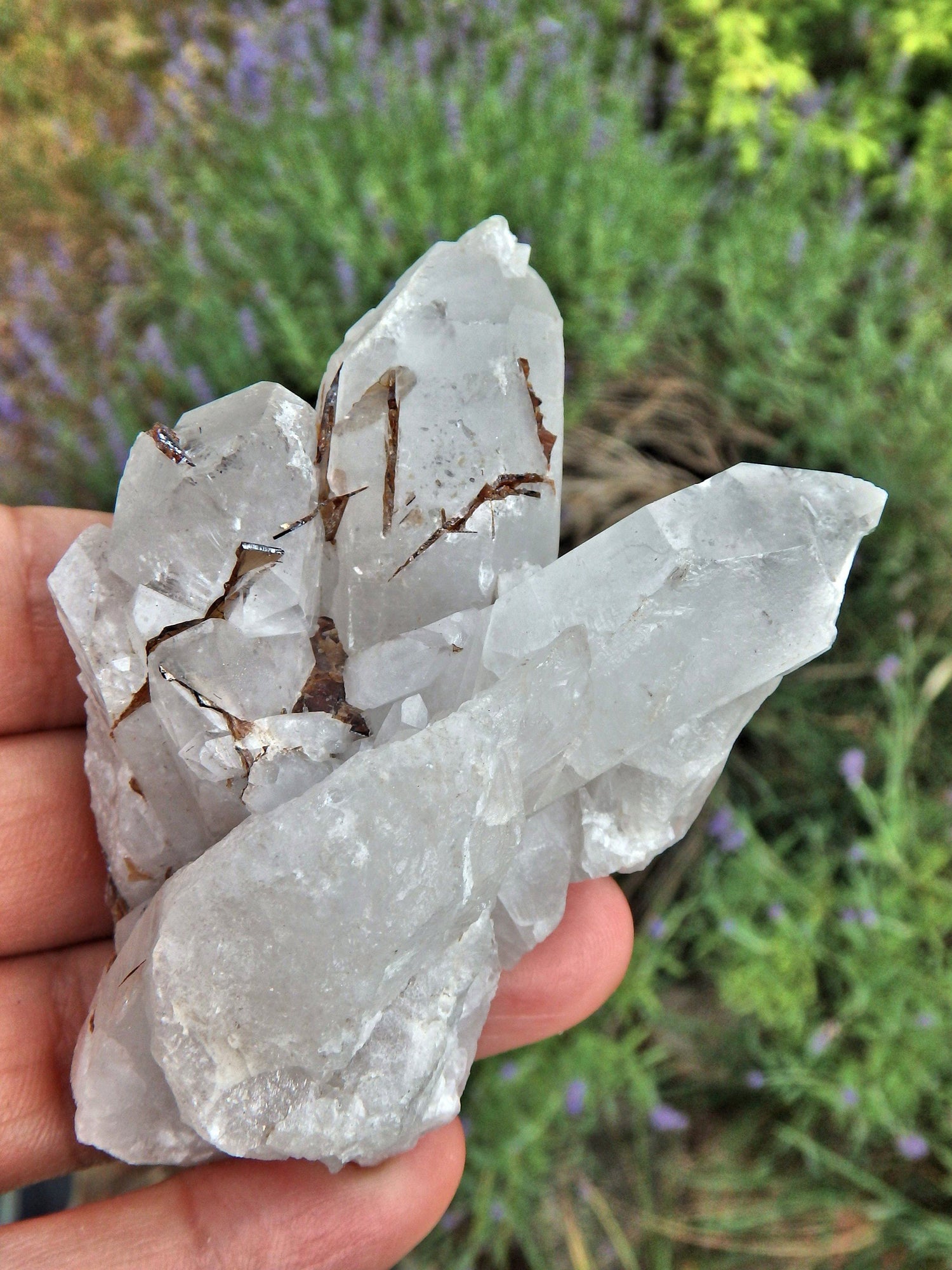  Brazilian Quartz & Golden Brookite Cluster Specimen1