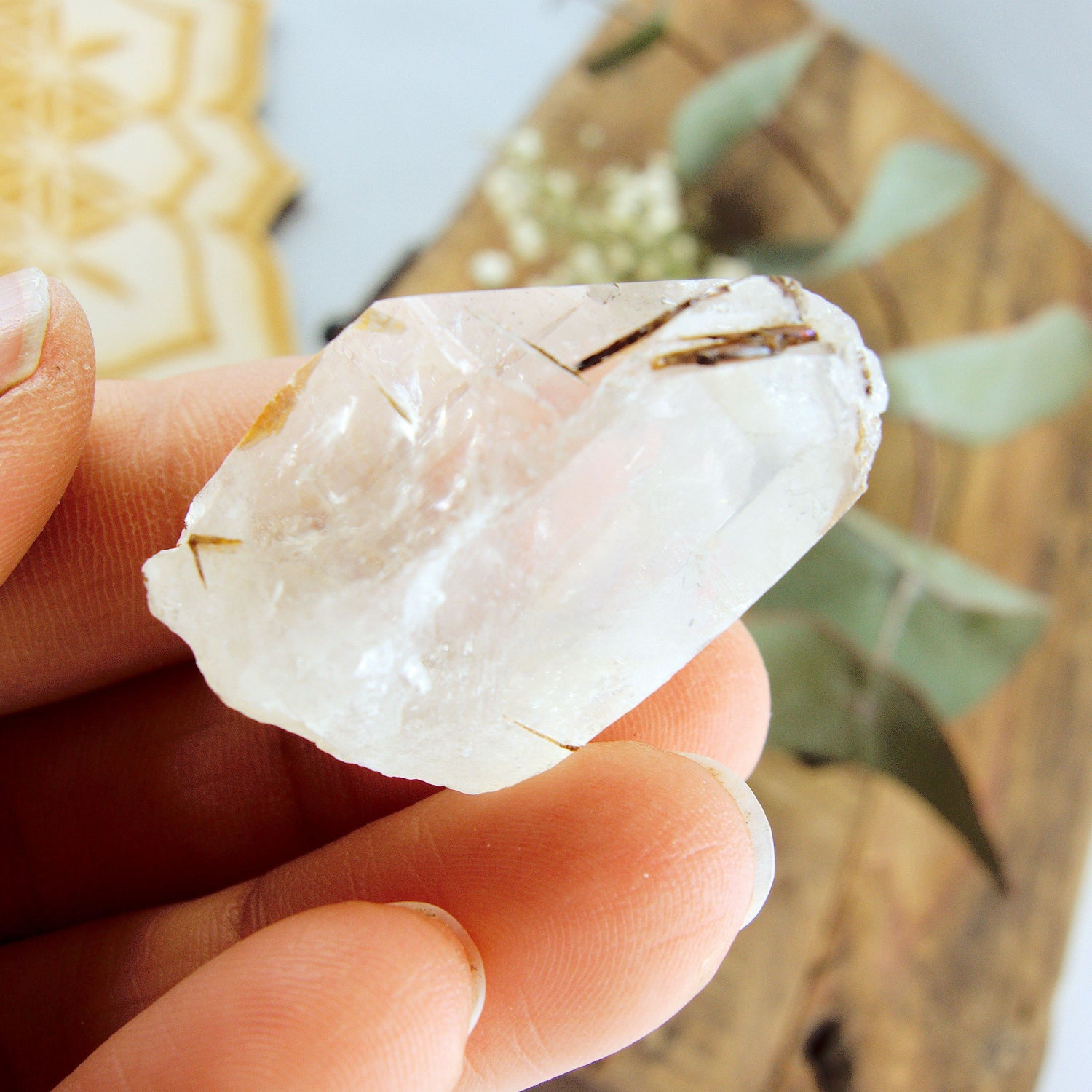  Cute Golden Brookite Blades Nestled in Brazilian Quartz Point #3
