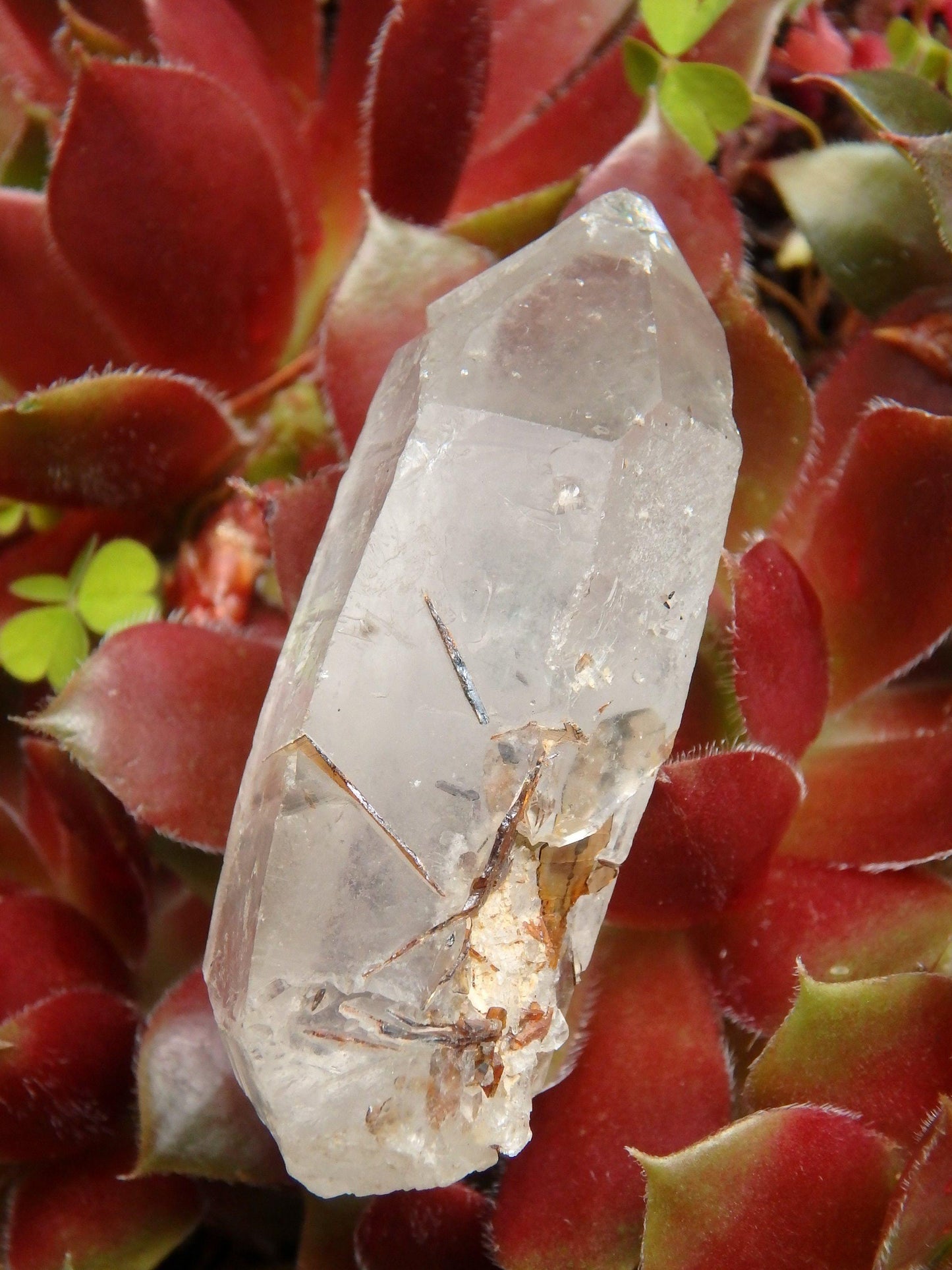  Brazilian Golden Brookite Quartz Point 1
