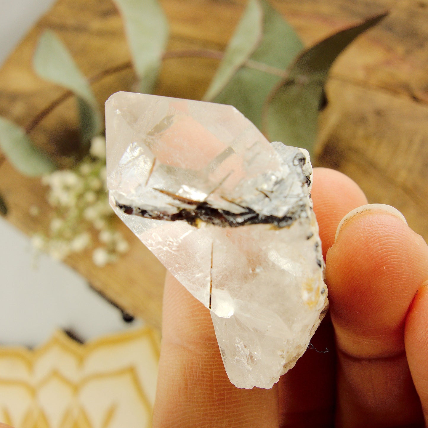  Cute Golden Brookite Blades Nestled in Brazilian Quartz Point #2