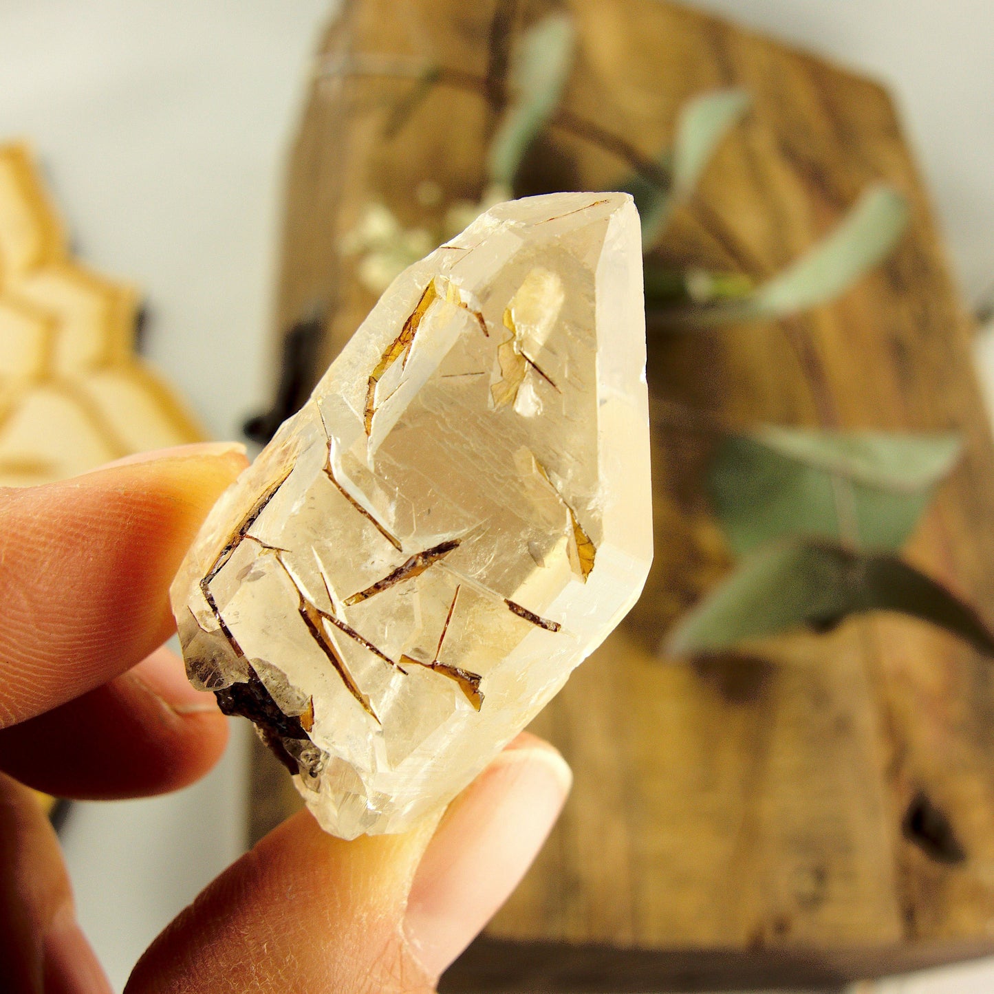  Cute Golden Brookite Blades Nestled in Brazilian Quartz Point #1