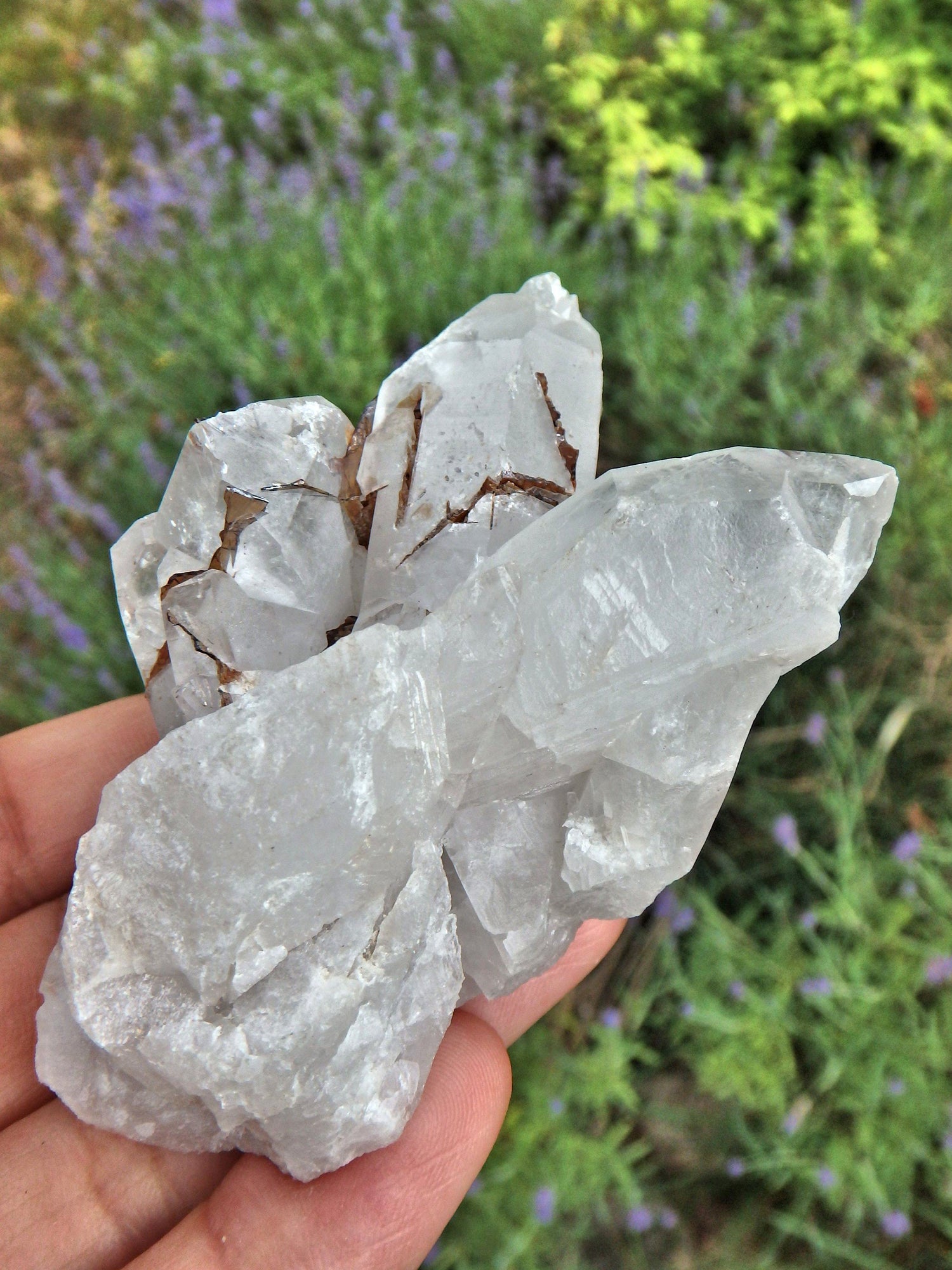  Brazilian Quartz & Golden Brookite Cluster Specimen1