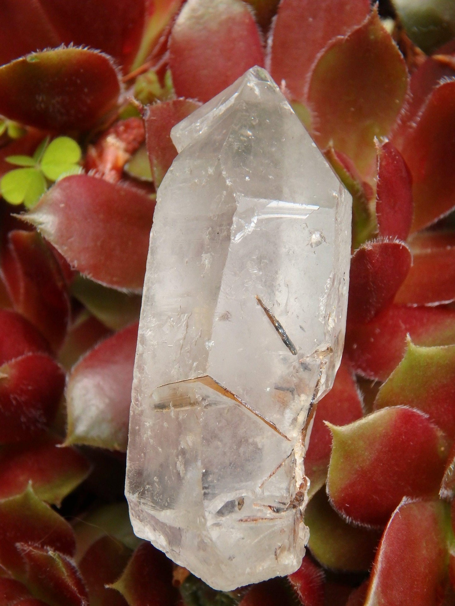  Brazilian Golden Brookite Quartz Point 1