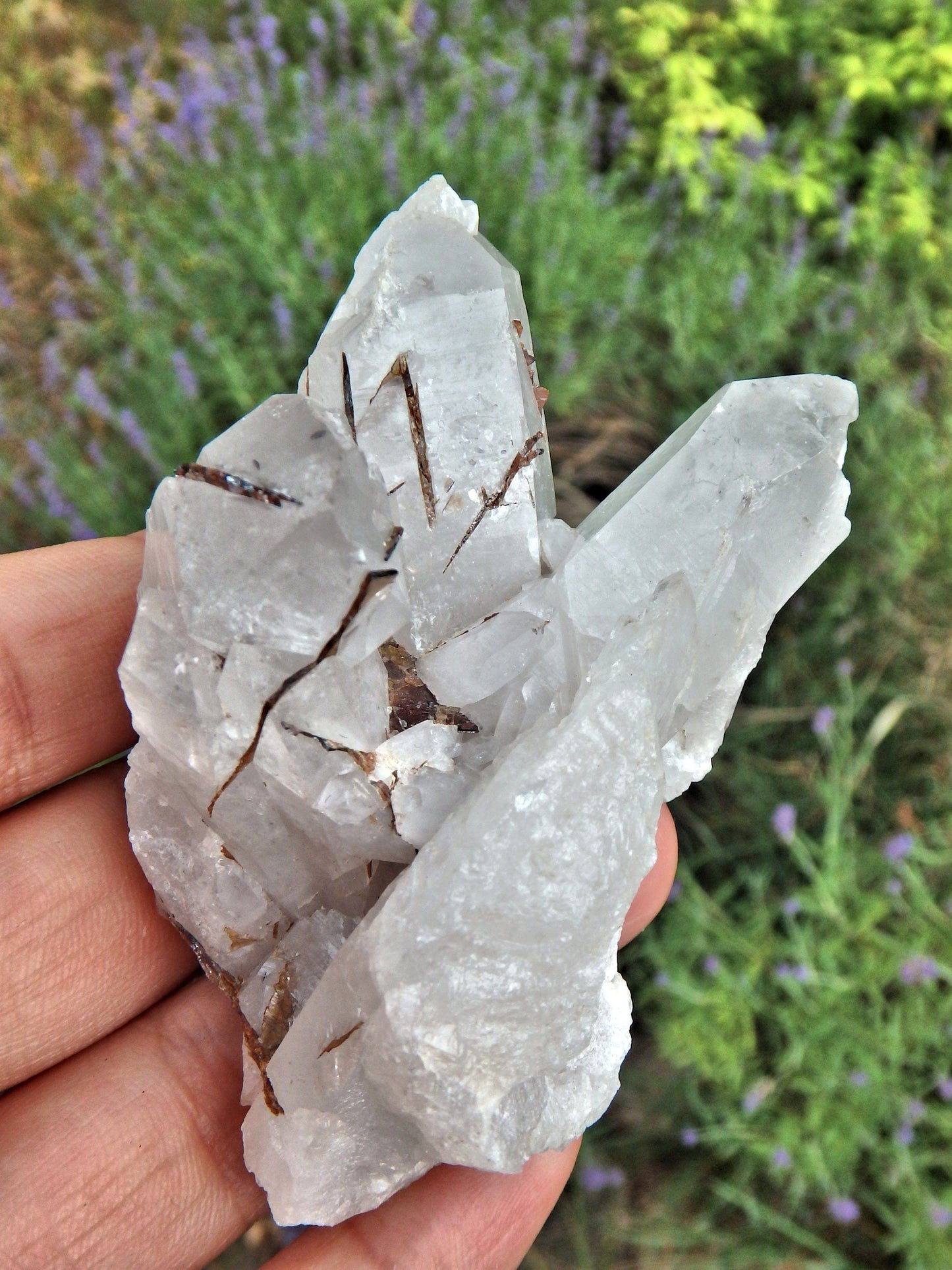  Brazilian Quartz & Golden Brookite Cluster Specimen1