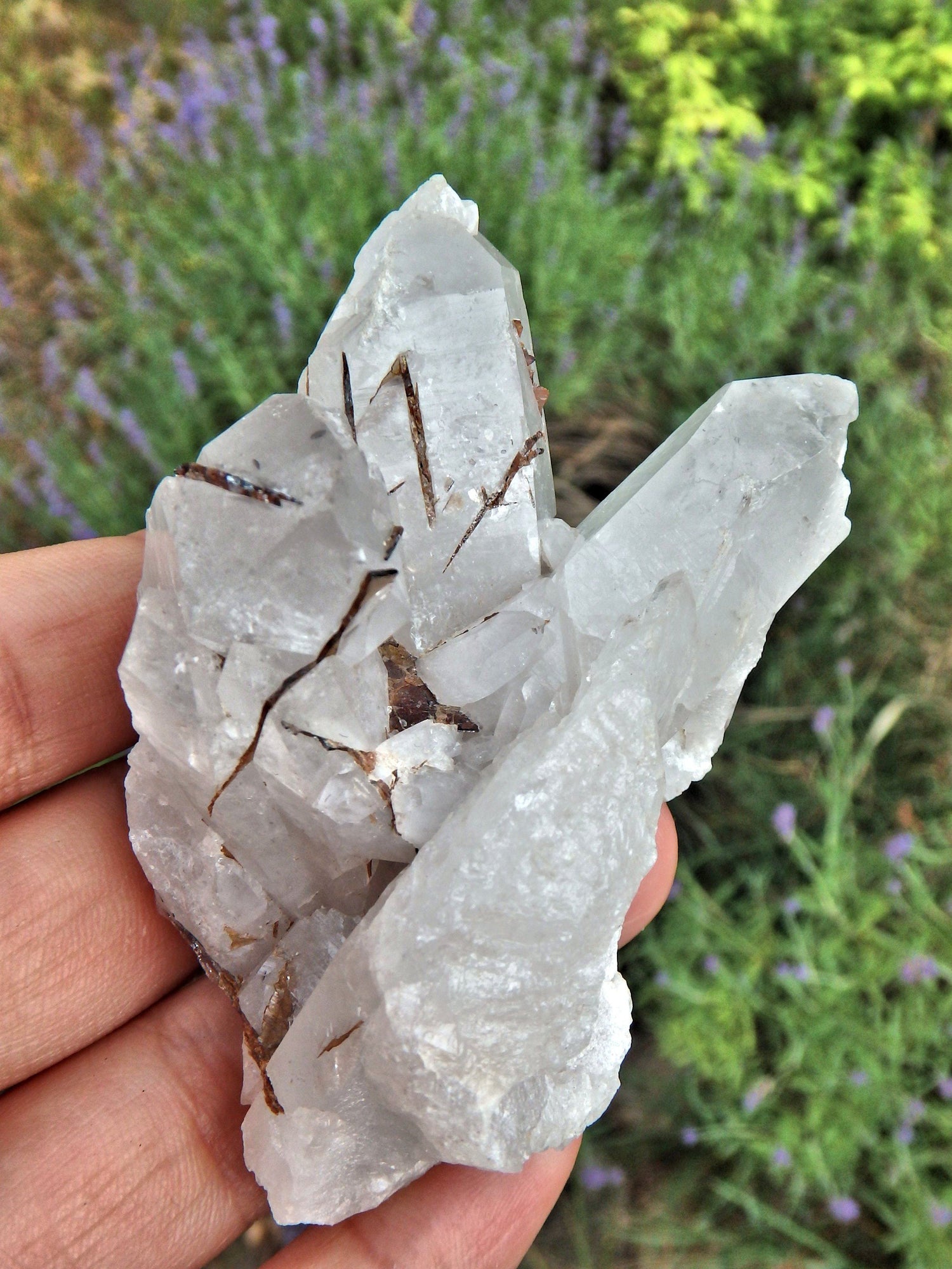  Brazilian Quartz & Golden Brookite Cluster Specimen1