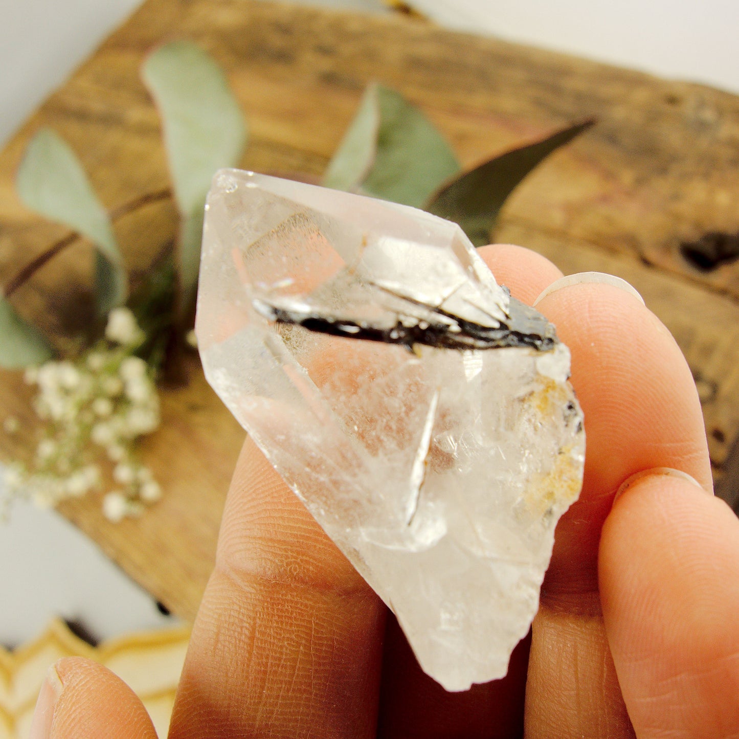  Cute Golden Brookite Blades Nestled in Brazilian Quartz Point #2