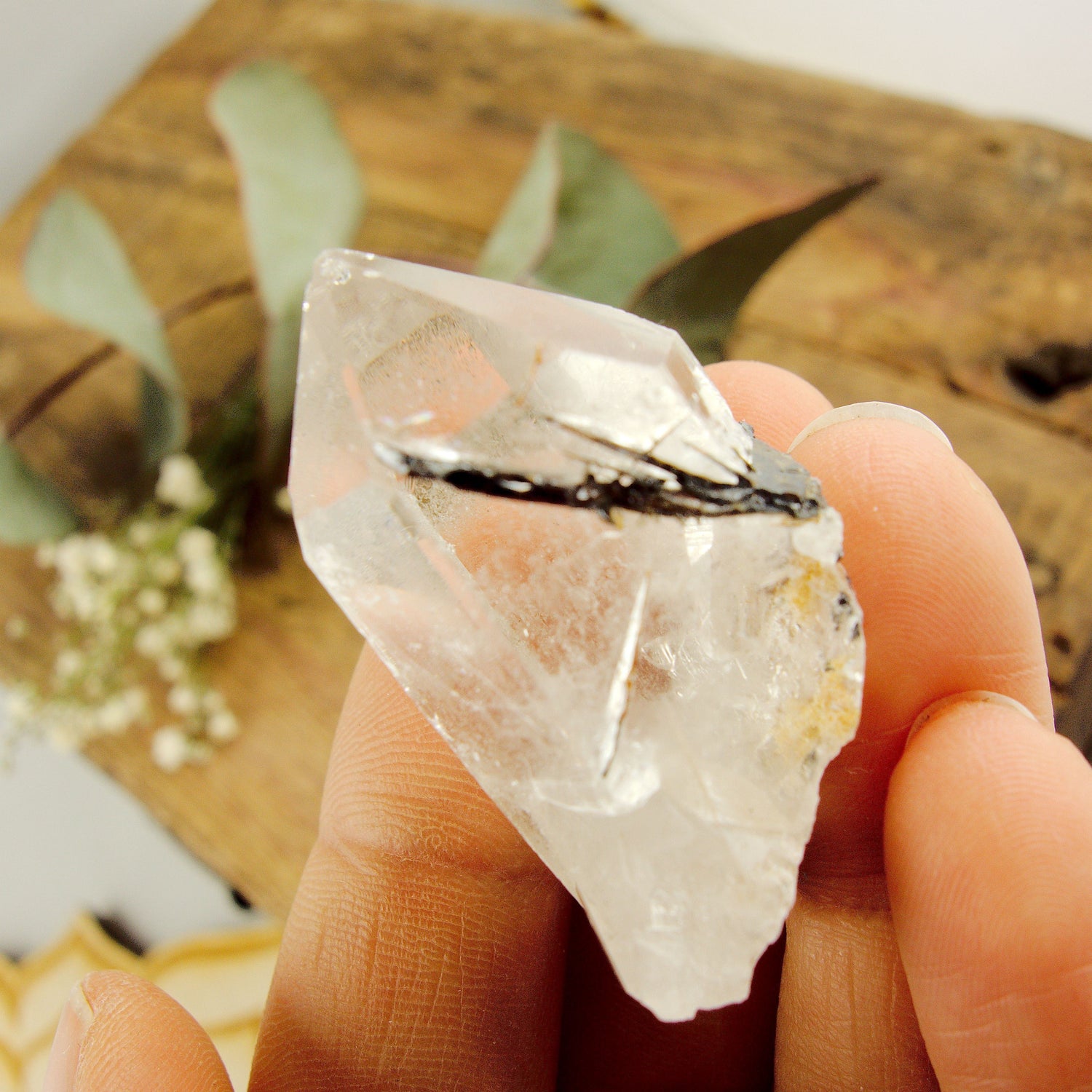  Cute Golden Brookite Blades Nestled in Brazilian Quartz Point #2