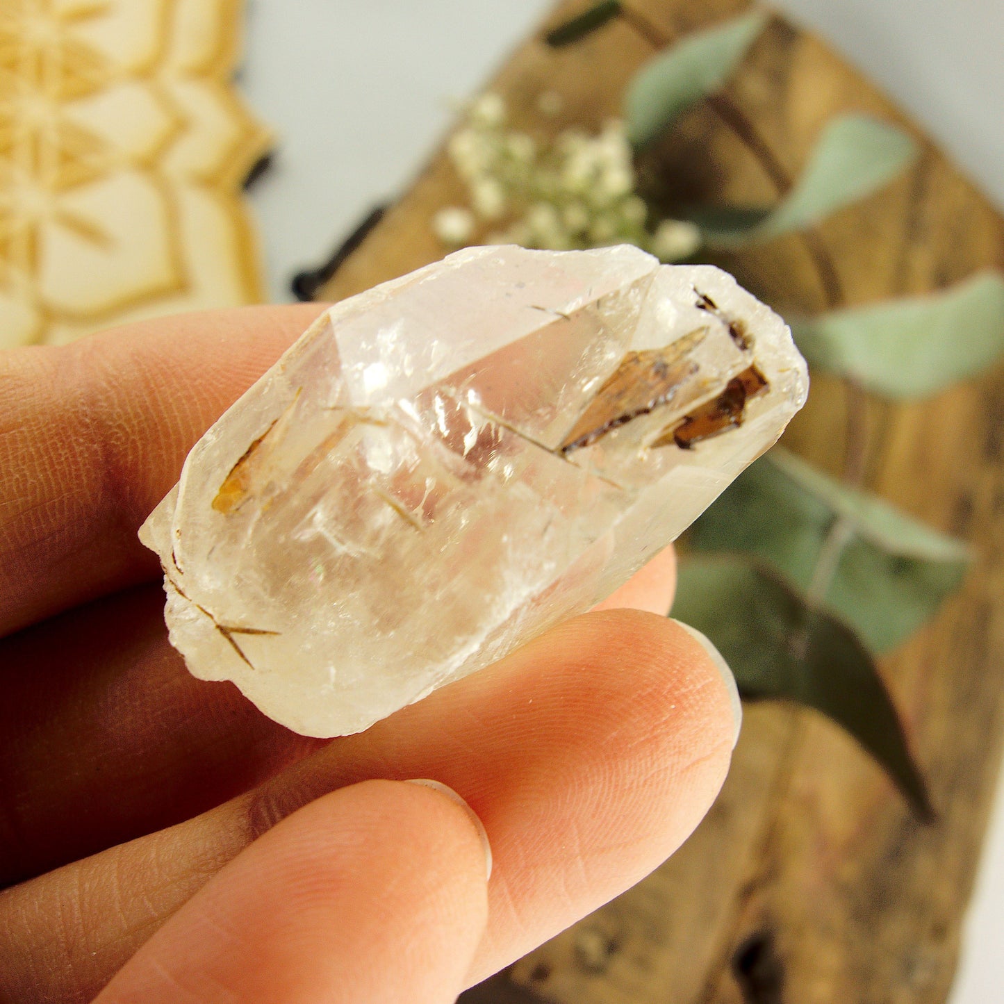  Cute Golden Brookite Blades Nestled in Brazilian Quartz Point #3
