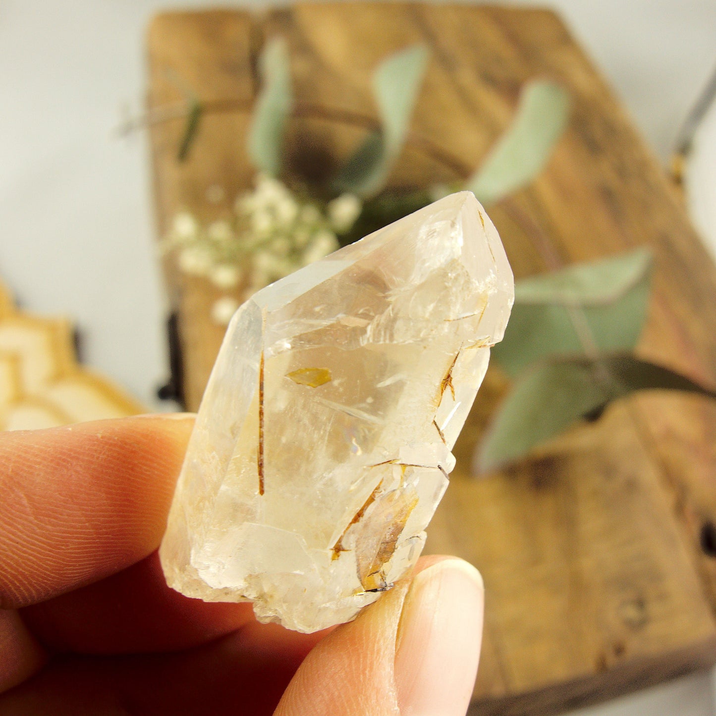  Cute Golden Brookite Blades Nestled in Brazilian Quartz Point #1
