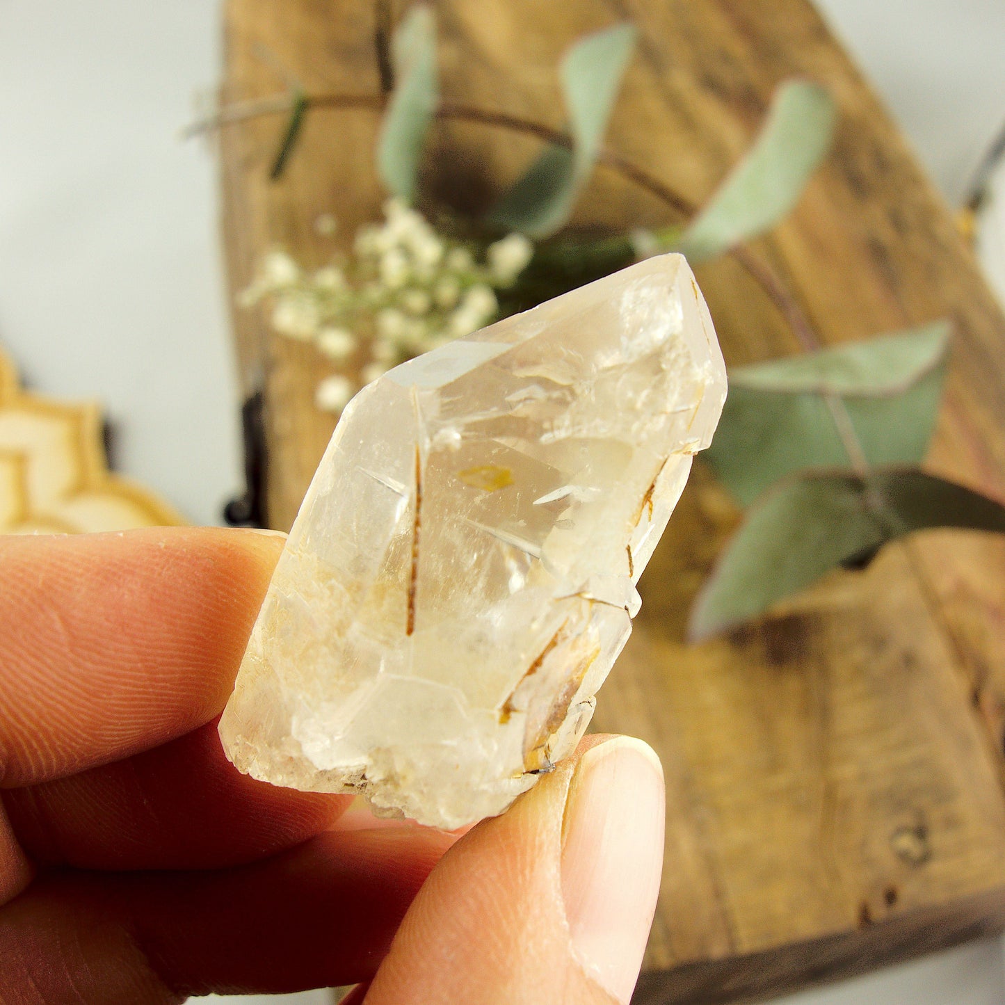  Cute Golden Brookite Blades Nestled in Brazilian Quartz Point #1