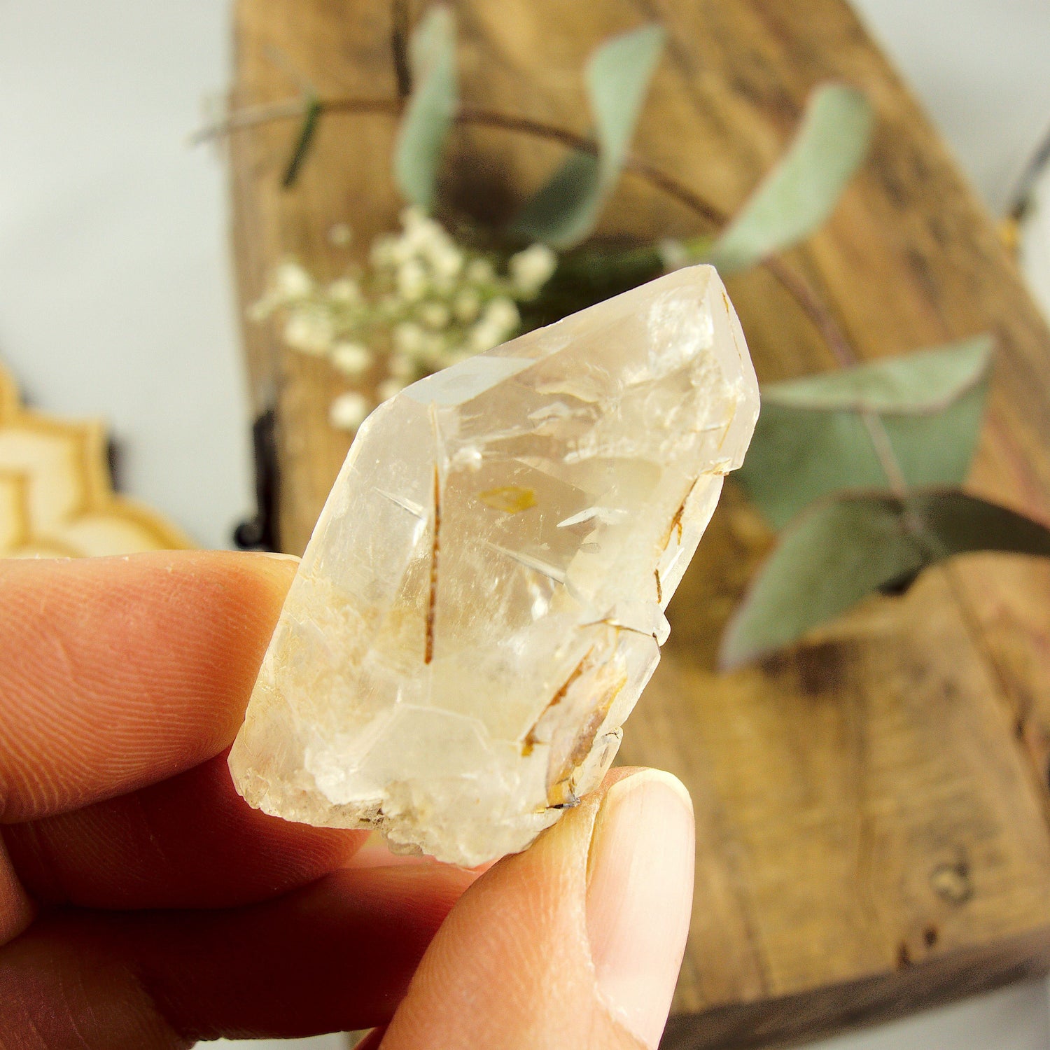 Cute Golden Brookite Blades Nestled in Brazilian Quartz Point #1