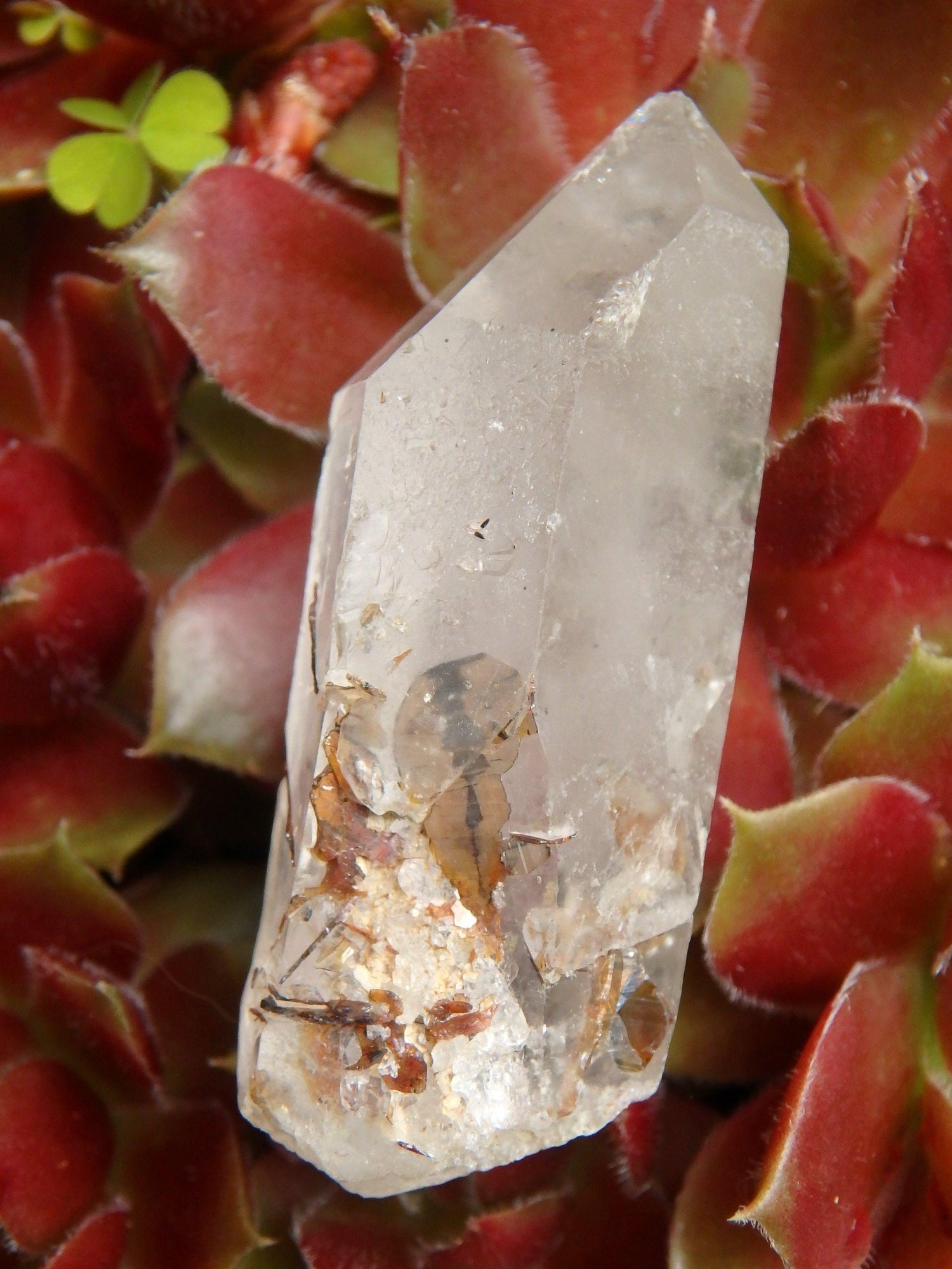  Brazilian Golden Brookite Quartz Point 1