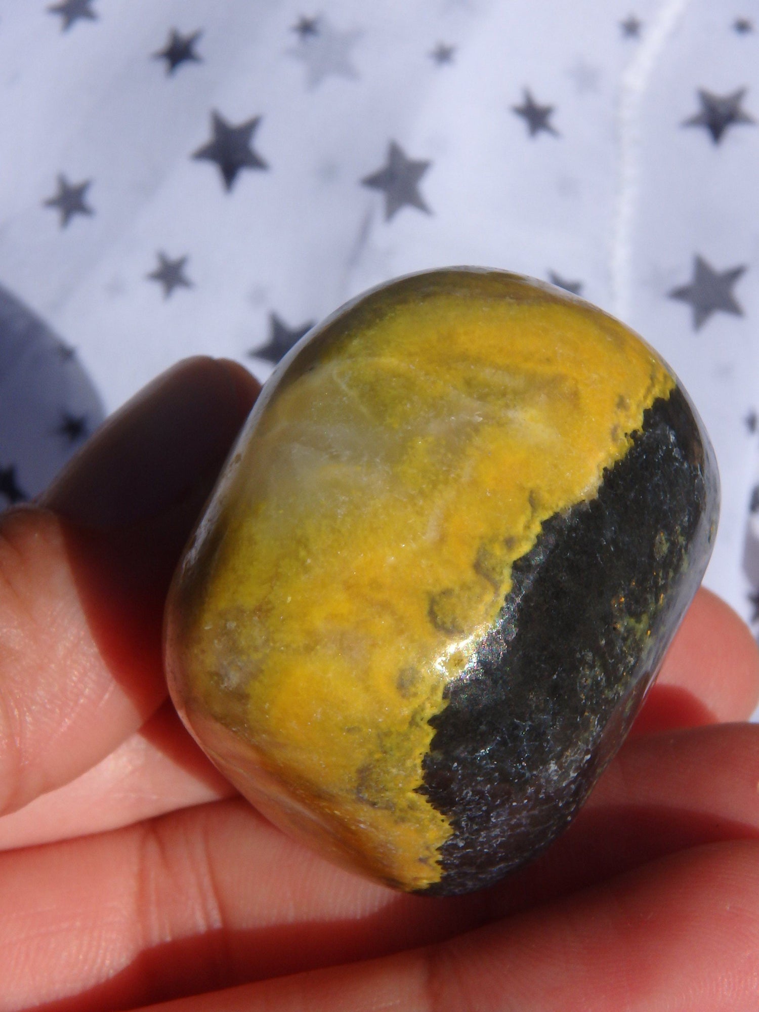  Bumble Bee Jasper Palm Stone1