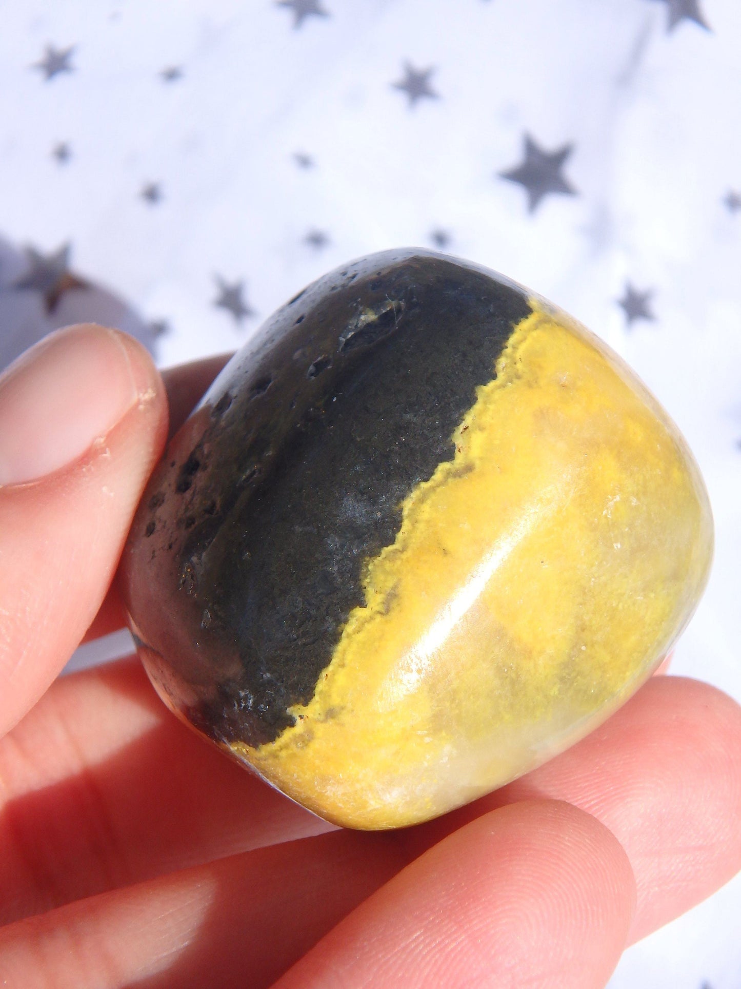  Bumble Bee Jasper Palm Stone1