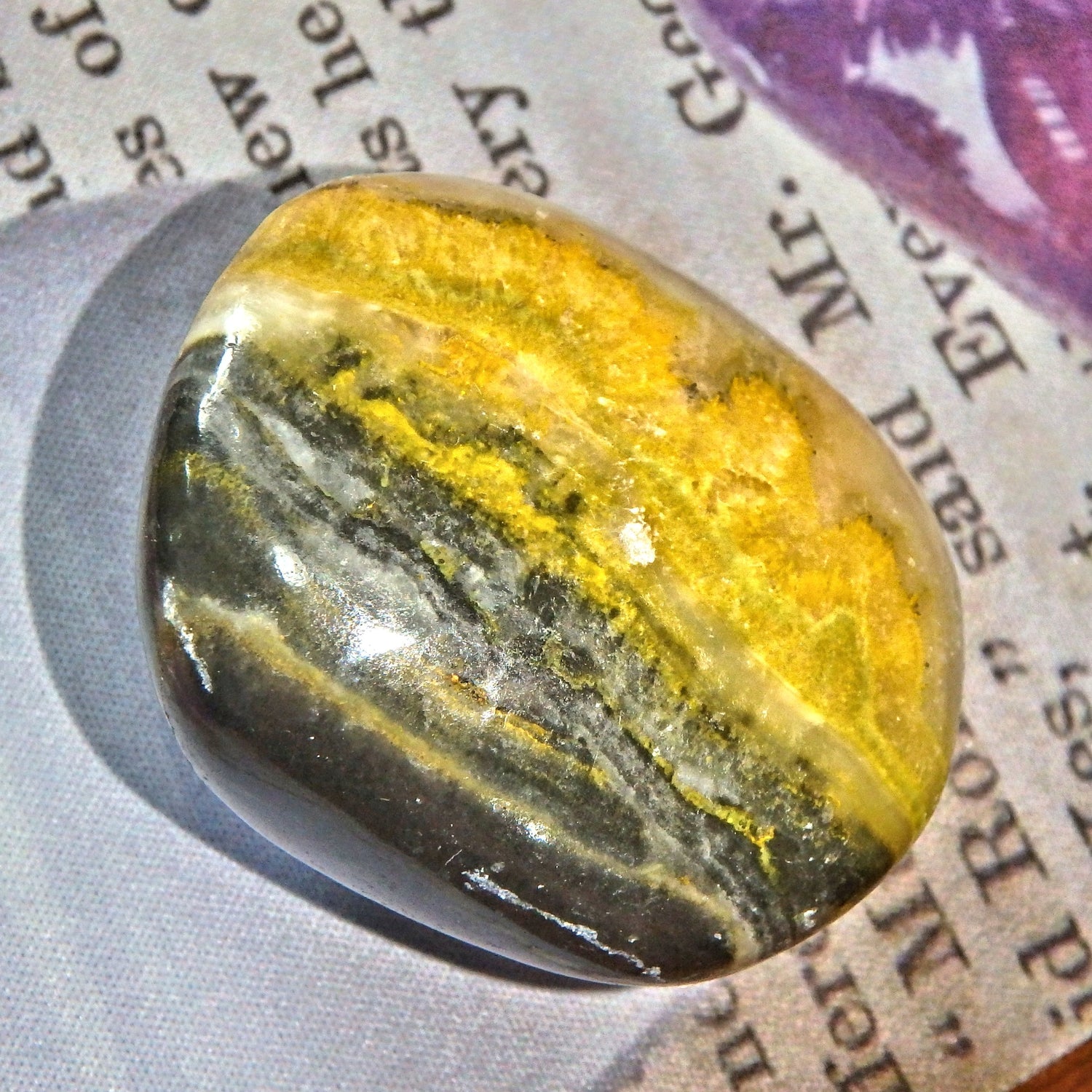  Golden Bumble Bee Jasper Polished Specimen 9 Default Title - Earth Family Crystals