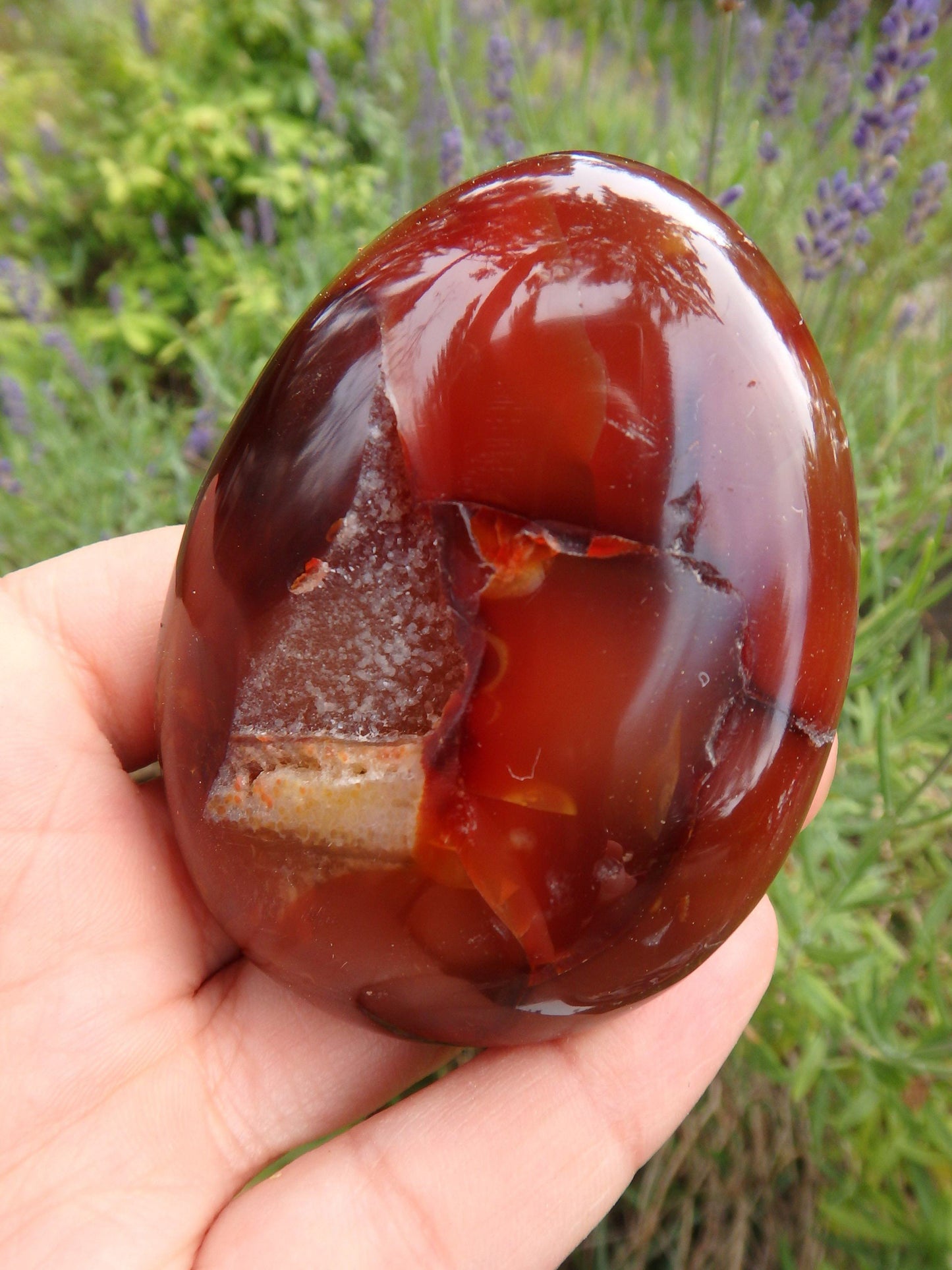  Deep Sparkling Druzy Cave Carnelian Polished Specimen