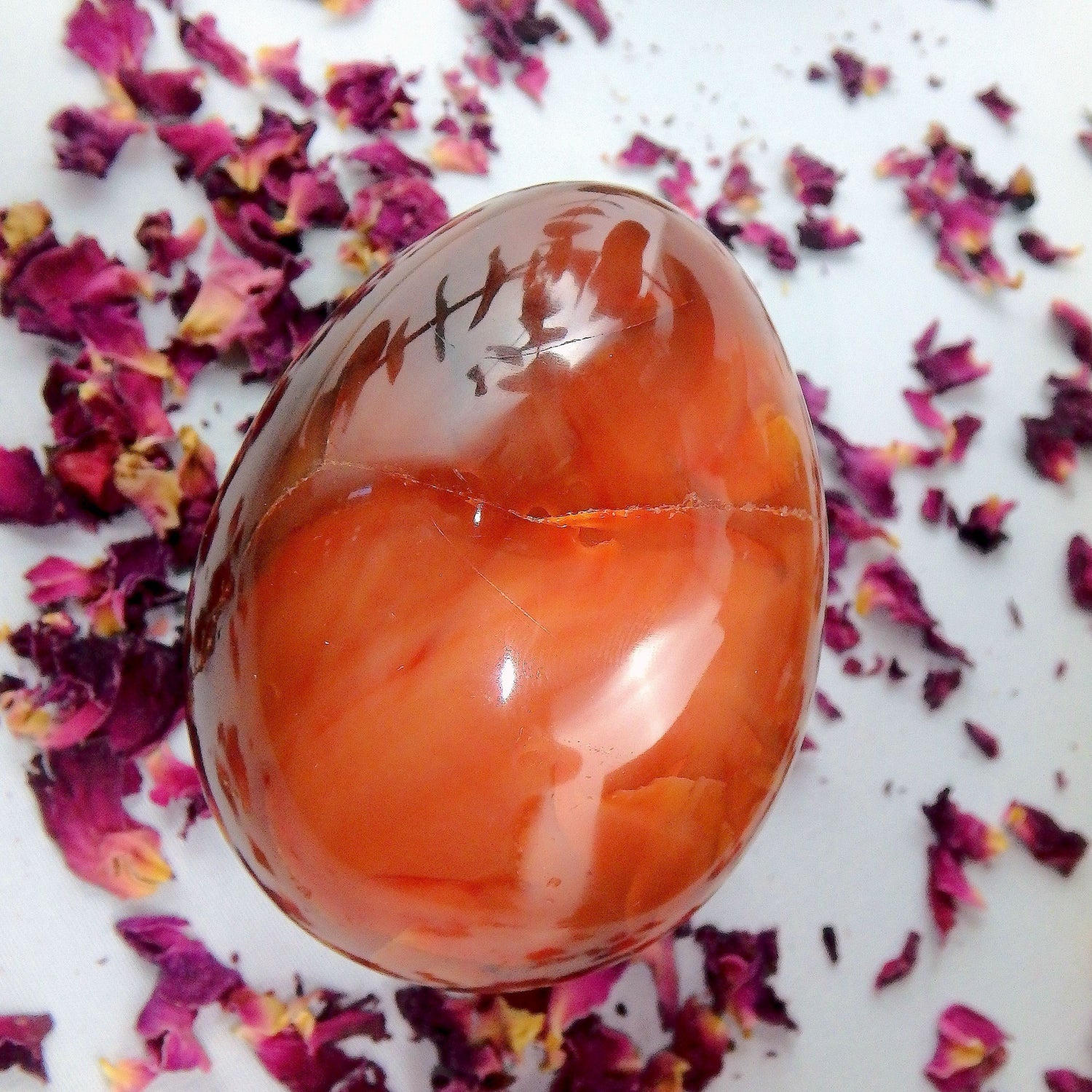  Deep Fire Orange Carnelian Egg Carving #1