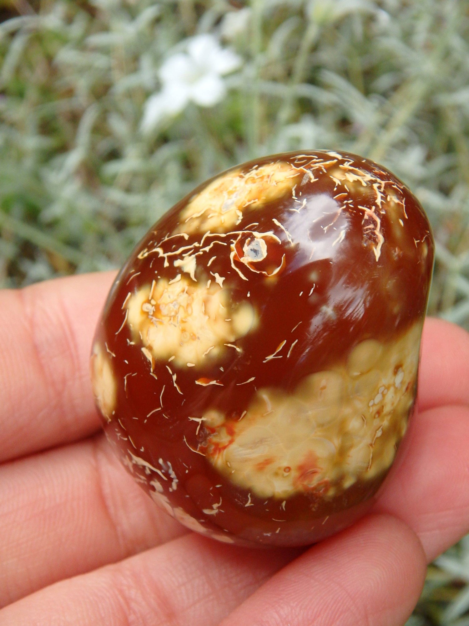  Cute Fire Orange Carnelian Hand Held Polished Stone From Madagascar 1