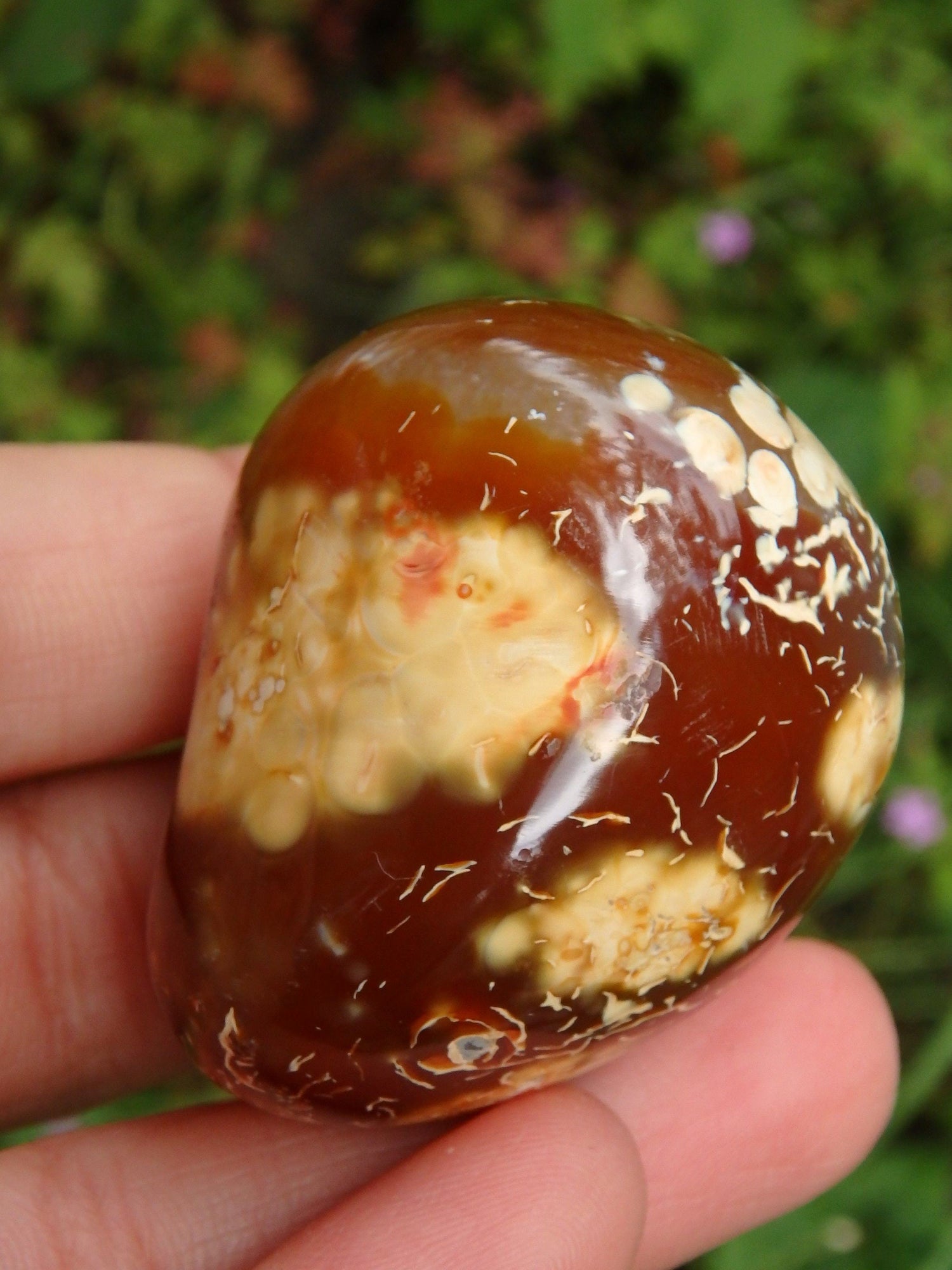  Cute Fire Orange Carnelian Hand Held Polished Stone From Madagascar 1