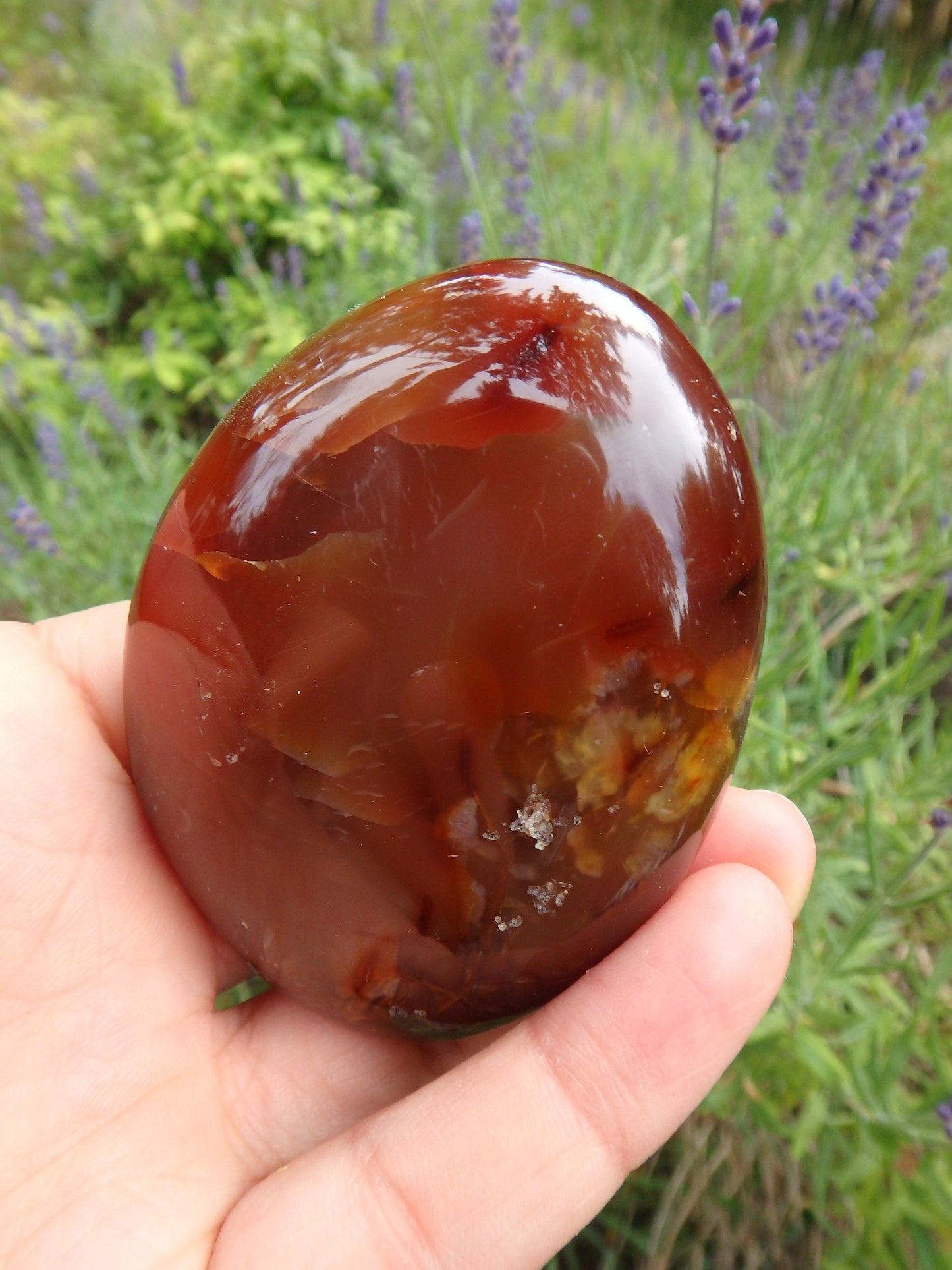  Deep Sparkling Druzy Cave Carnelian Polished Specimen