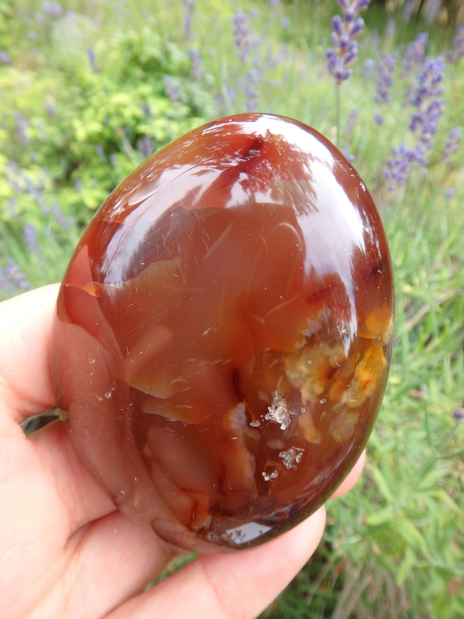  Deep Sparkling Druzy Cave Carnelian Polished Specimen