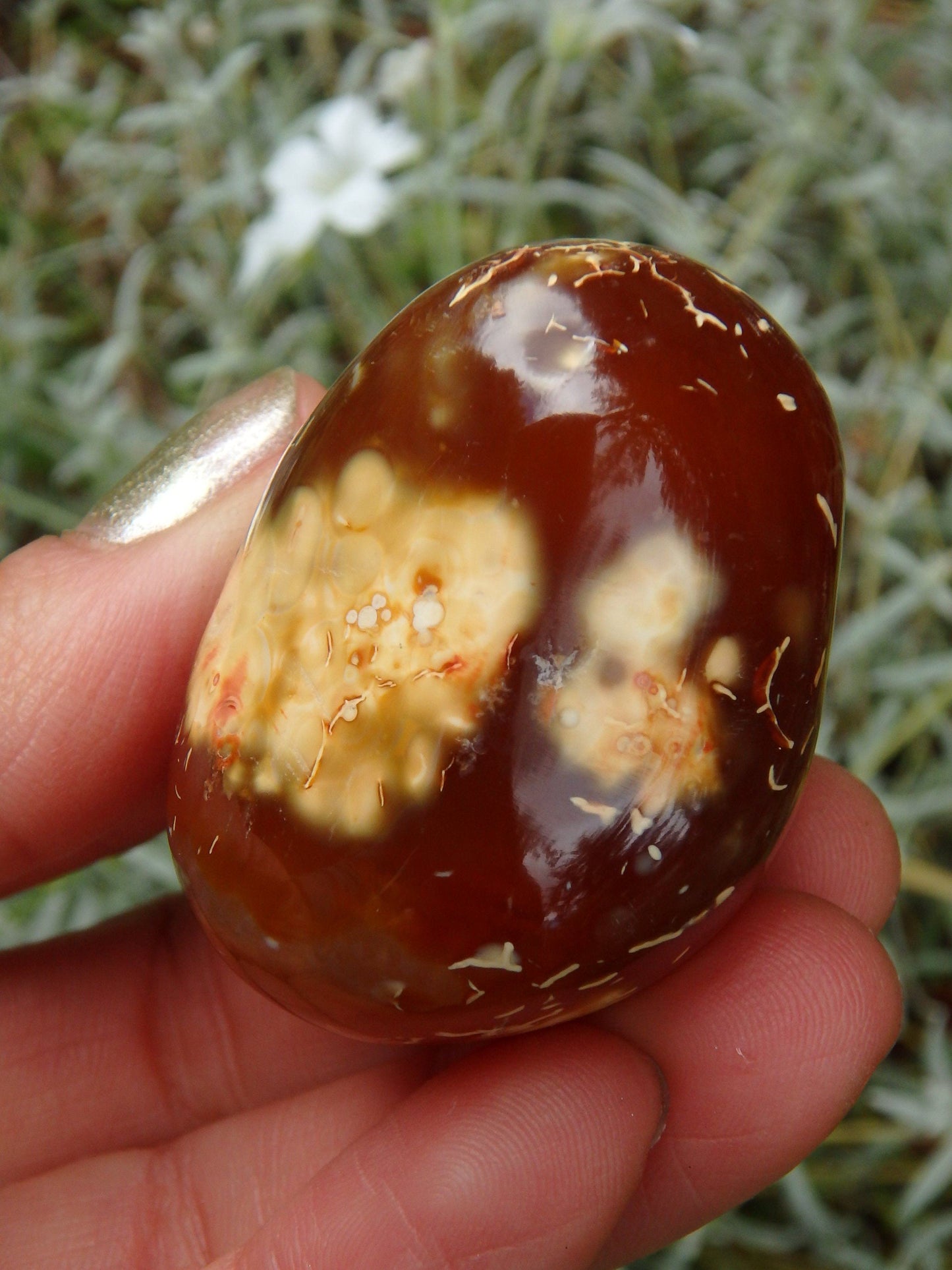  Cute Fire Orange Carnelian Hand Held Polished Stone From Madagascar 1