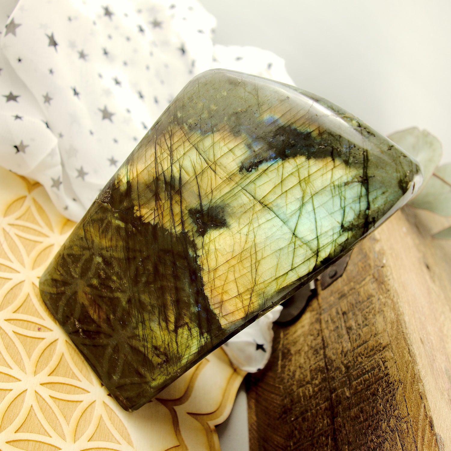 Flashy Sea Foam Green & Golden Flashes Large Labradorite Standing Display Specimen - Earth Family Crystals