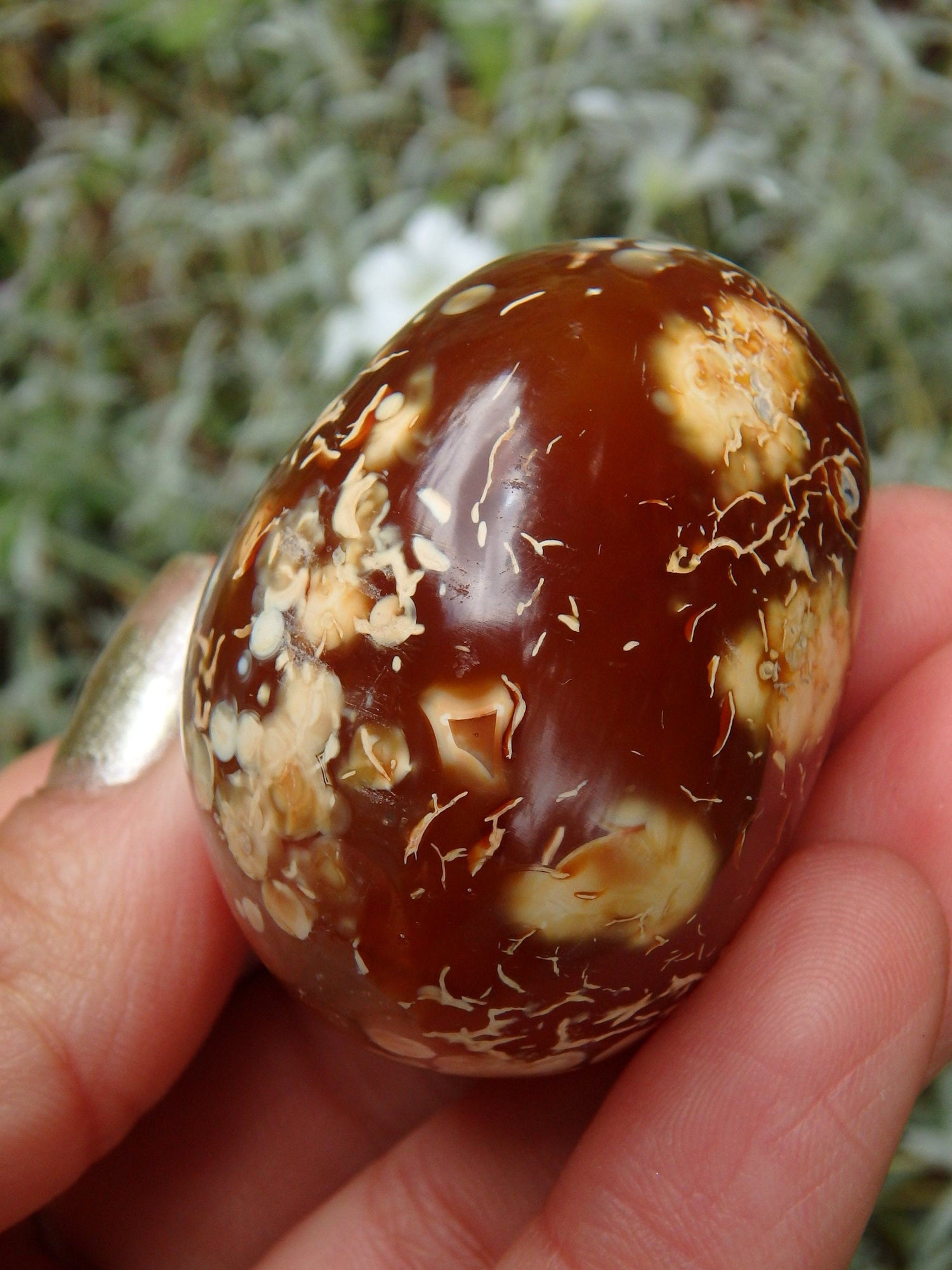  Cute Fire Orange Carnelian Hand Held Polished Stone From Madagascar 1