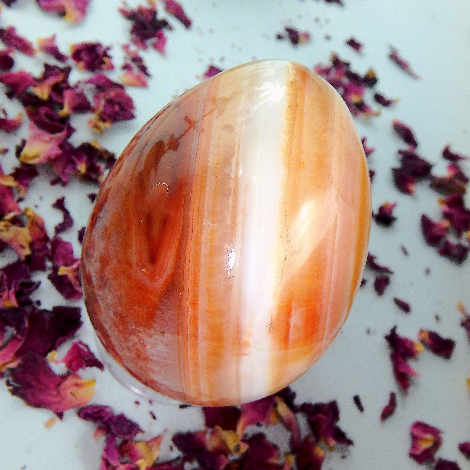 Fabulous Orange & White Patterns & Contrast Carnelian Egg Carving - Earth Family Crystals